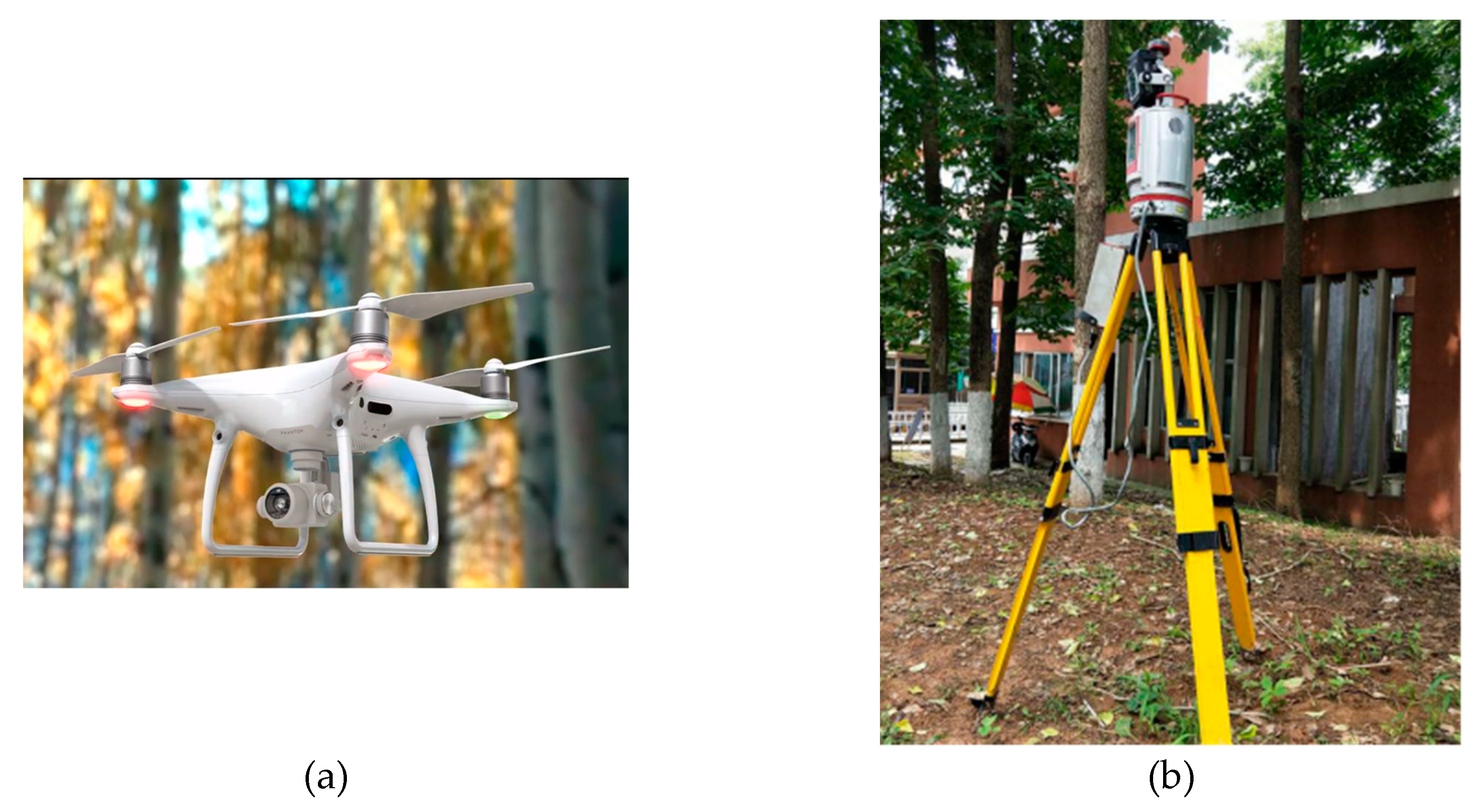 Forests 10 00537 g003