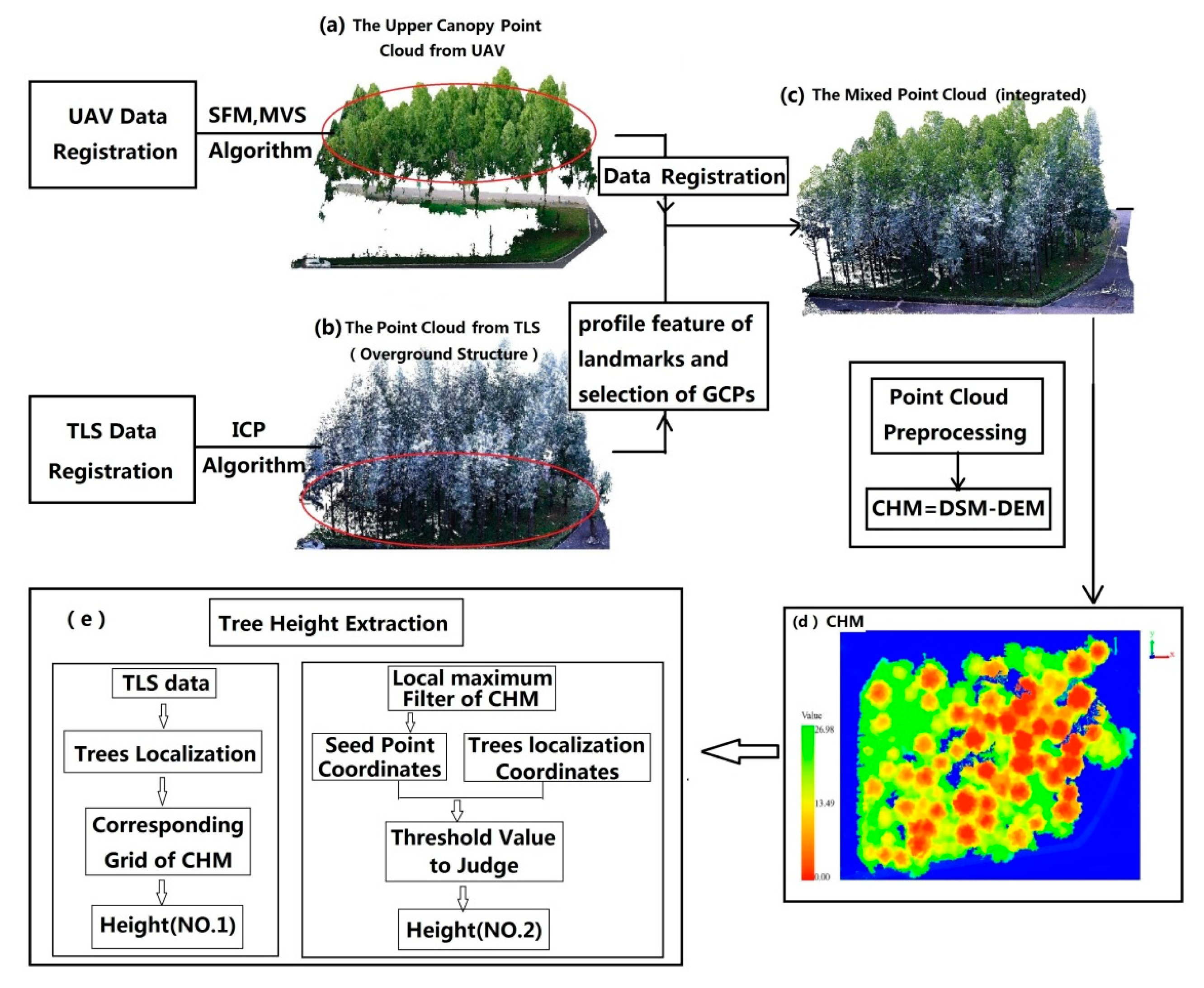 Forests 10 00537 g005