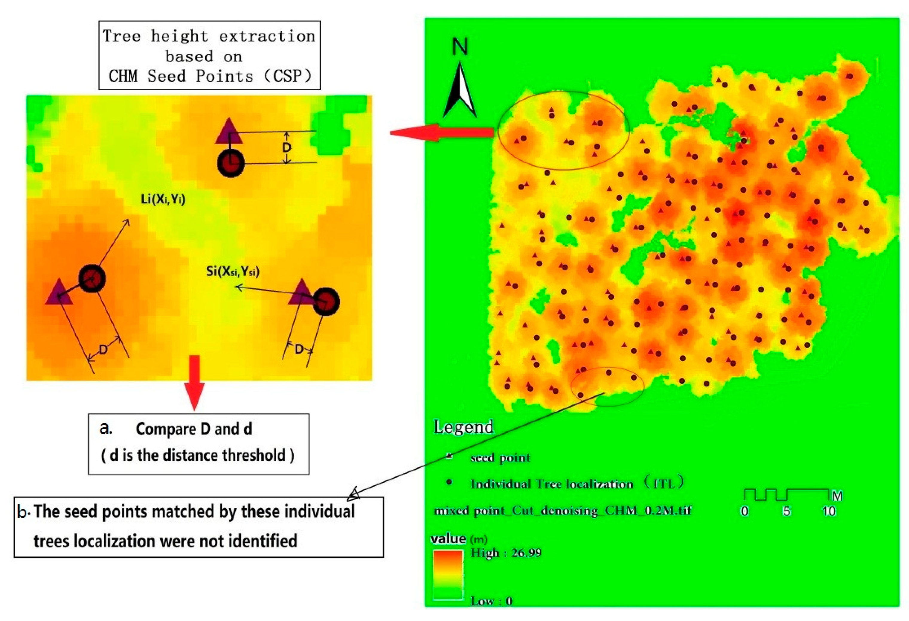 Forests 10 00537 g007