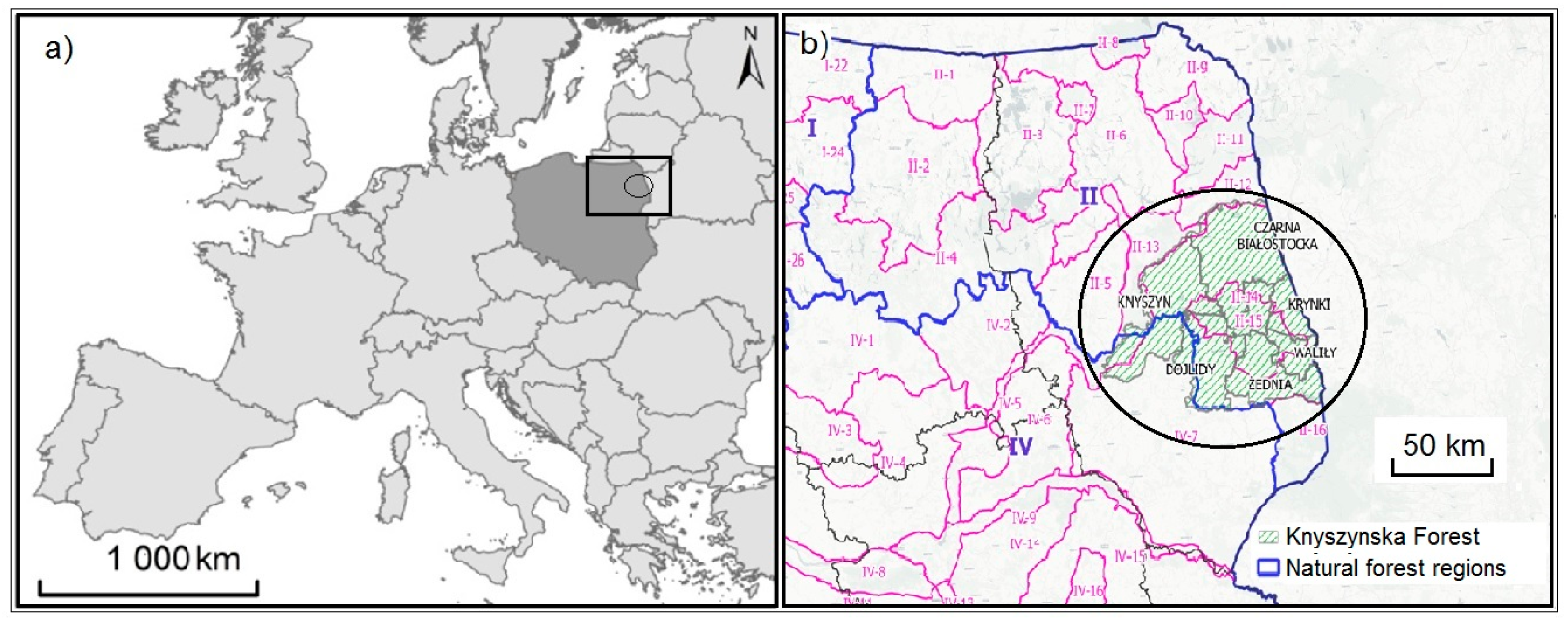 Forests 10 00542 g001