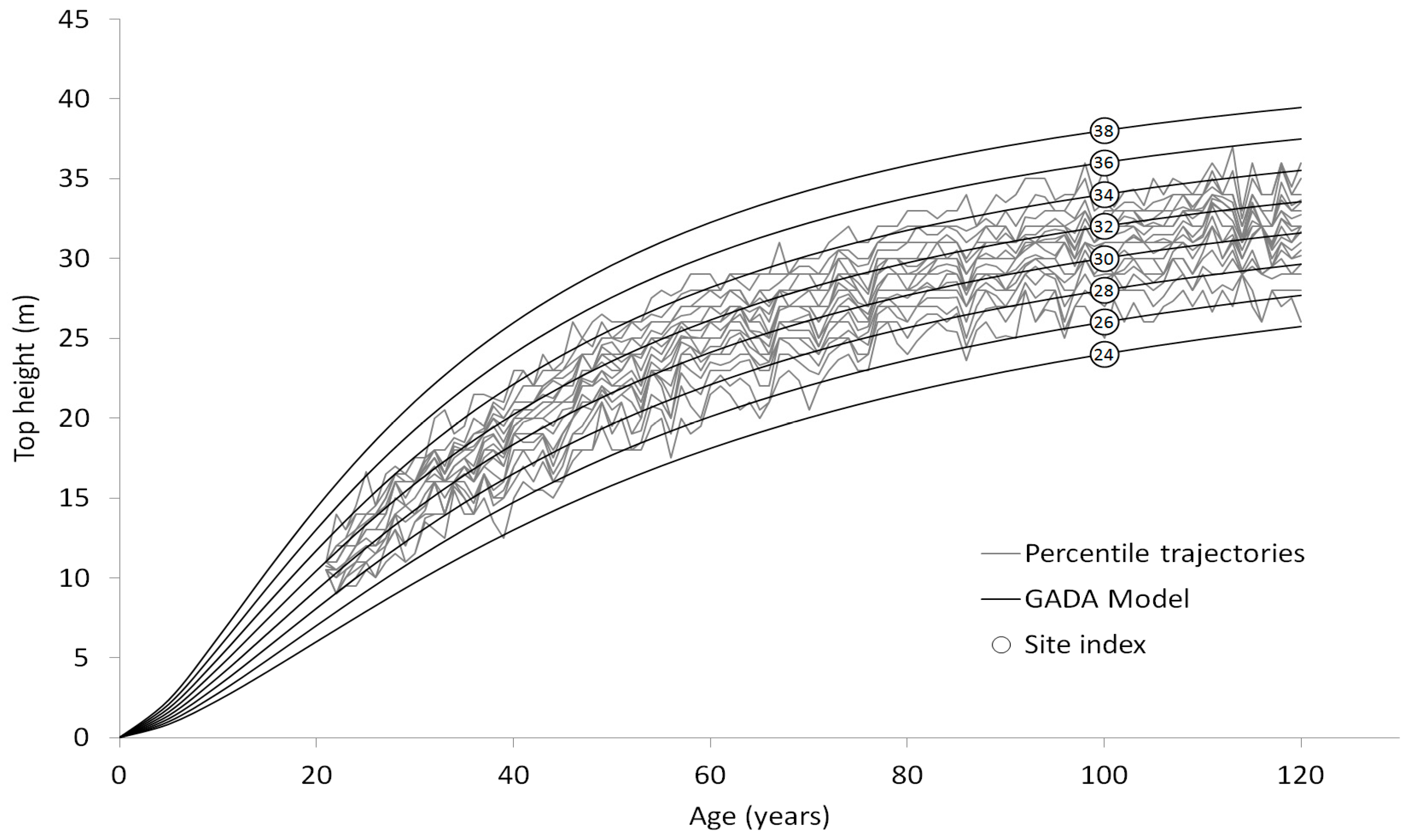 Forests 10 00542 g004