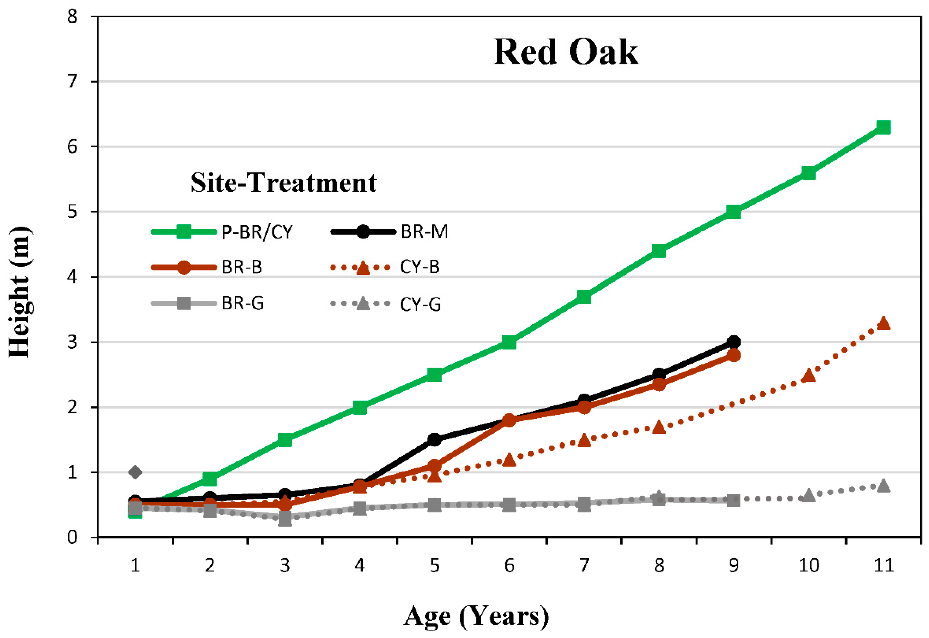 Forests 10 00549 g001