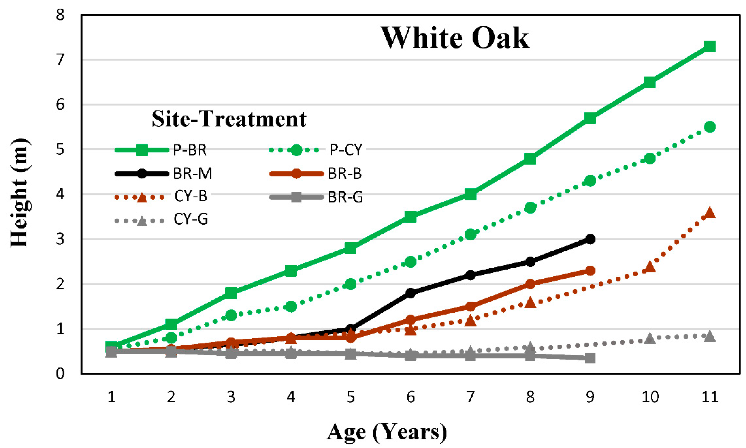 Forests 10 00549 g002