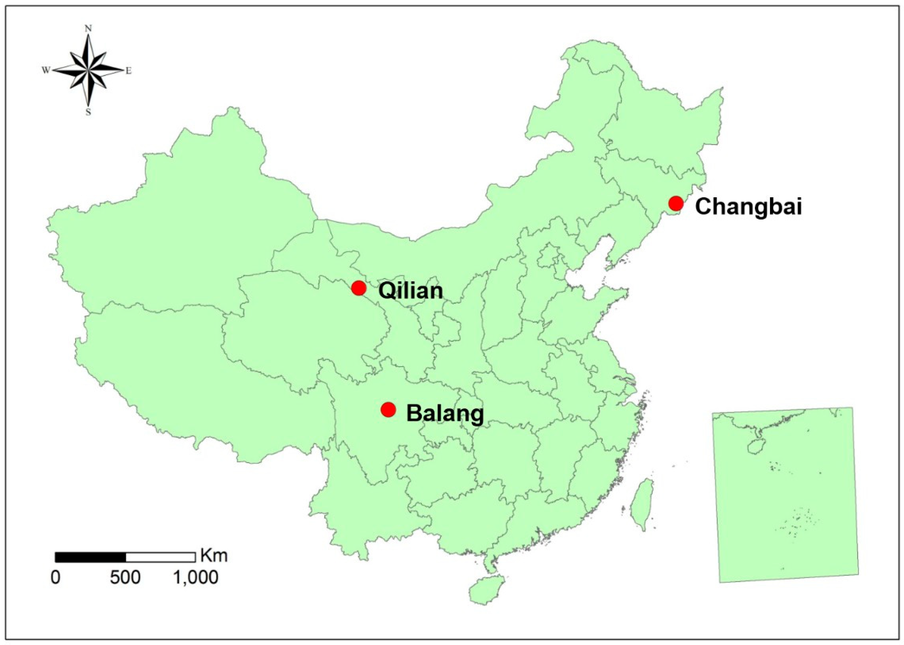 Forests 10 00557 g001