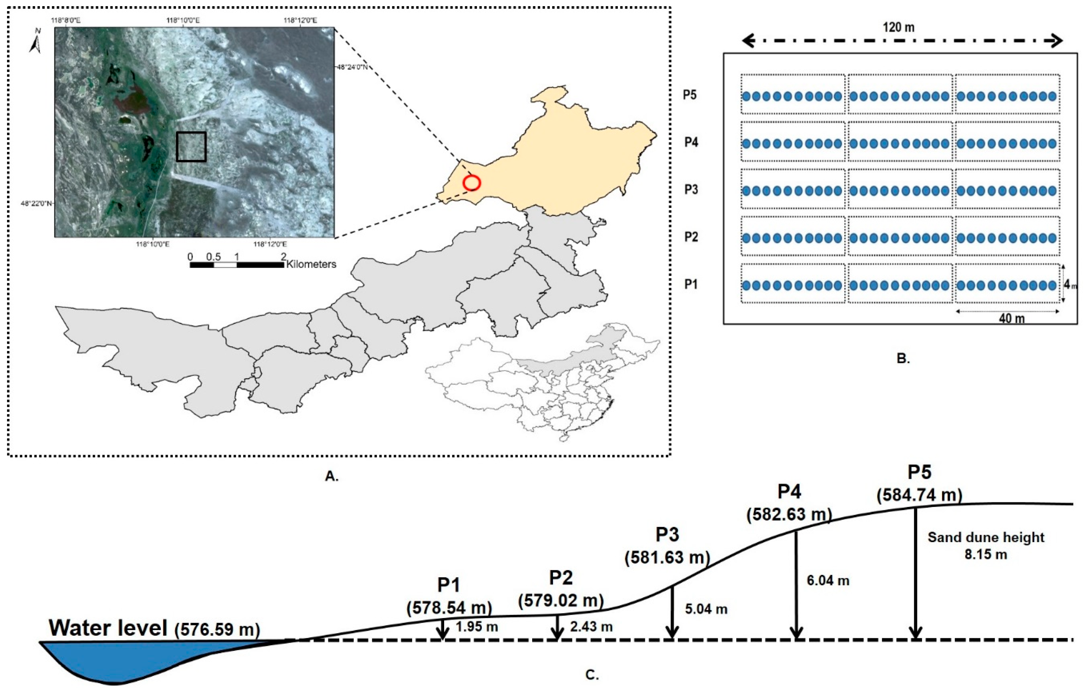 Forests 10 00558 g001 Forests 10 00558 g001
