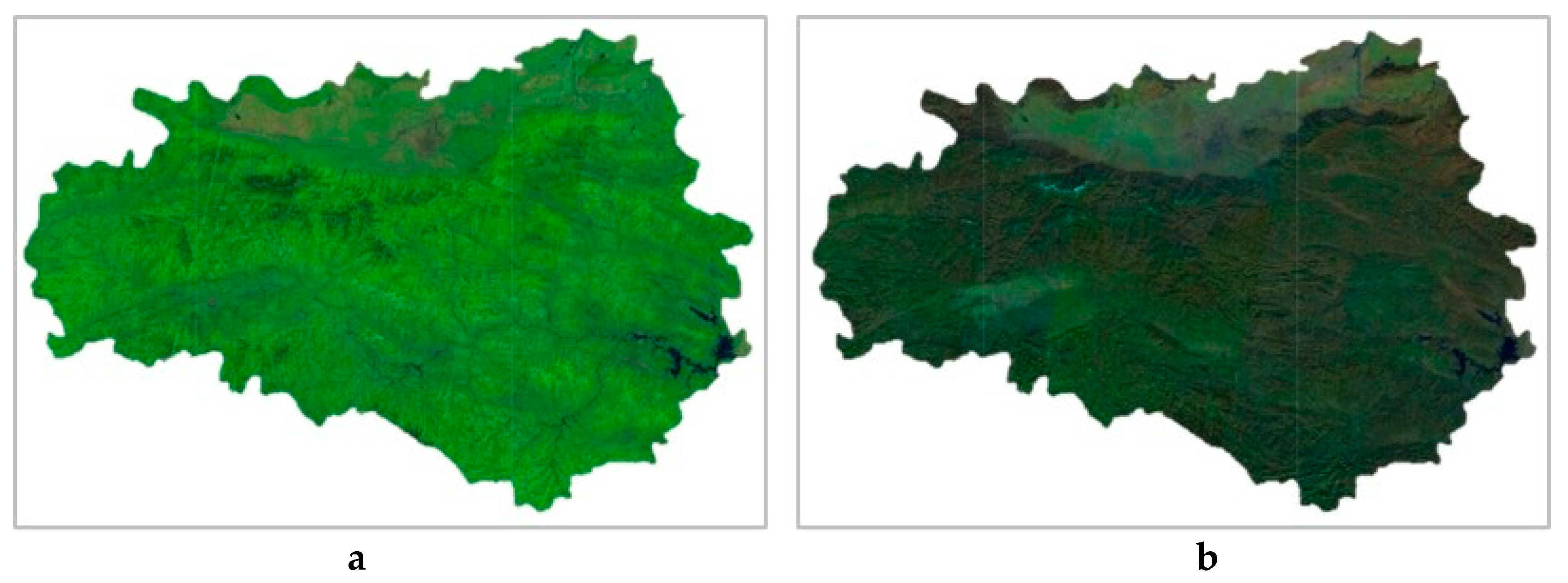 Forests 10 00559 g003 Forests 10 00559 g003