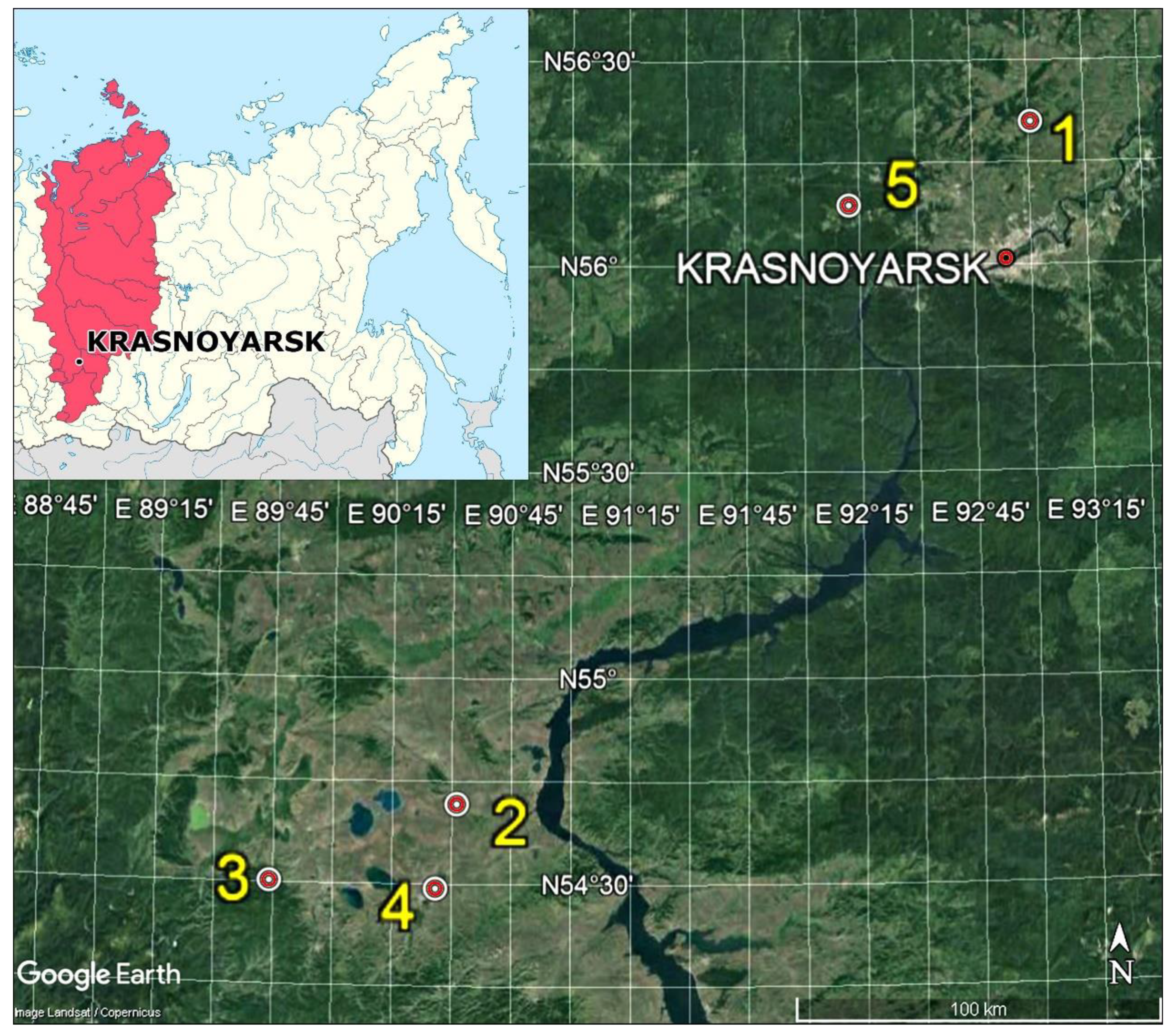 Forests 10 00561 g001 Forests 10 00561 g001