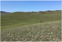 Forests 10 00561 i005 Forests 10 00561 i005