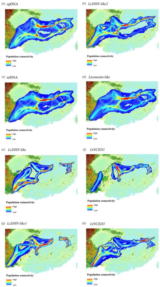 Forests 10 00565 g004 Forests 10 00565 g004