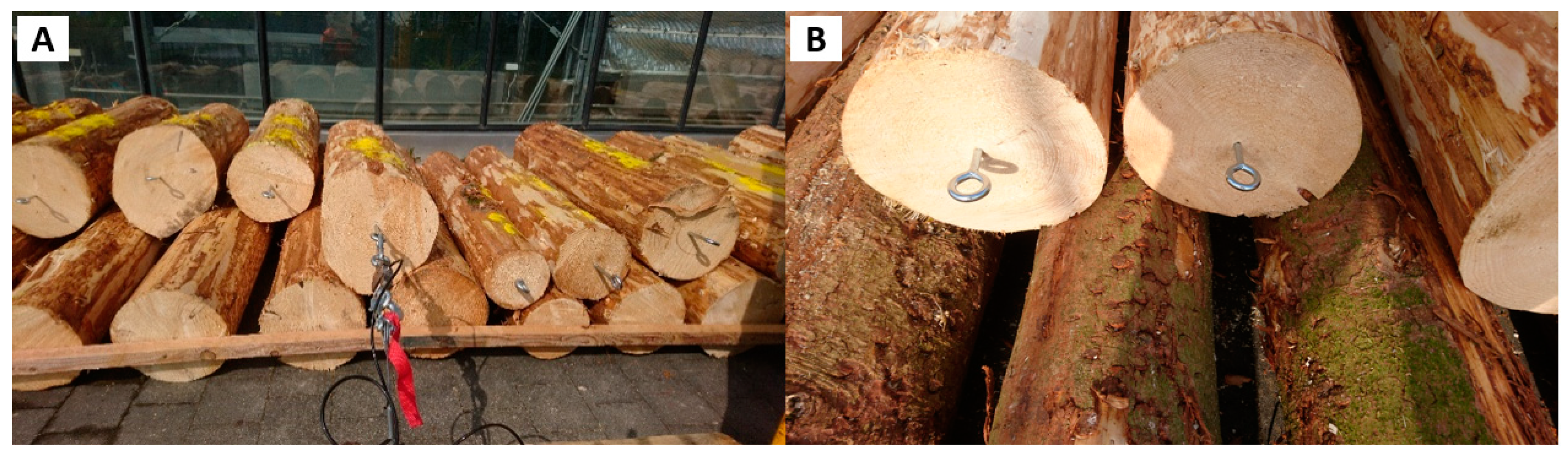 Forests 10 00568 g002 Forests 10 00568 g002