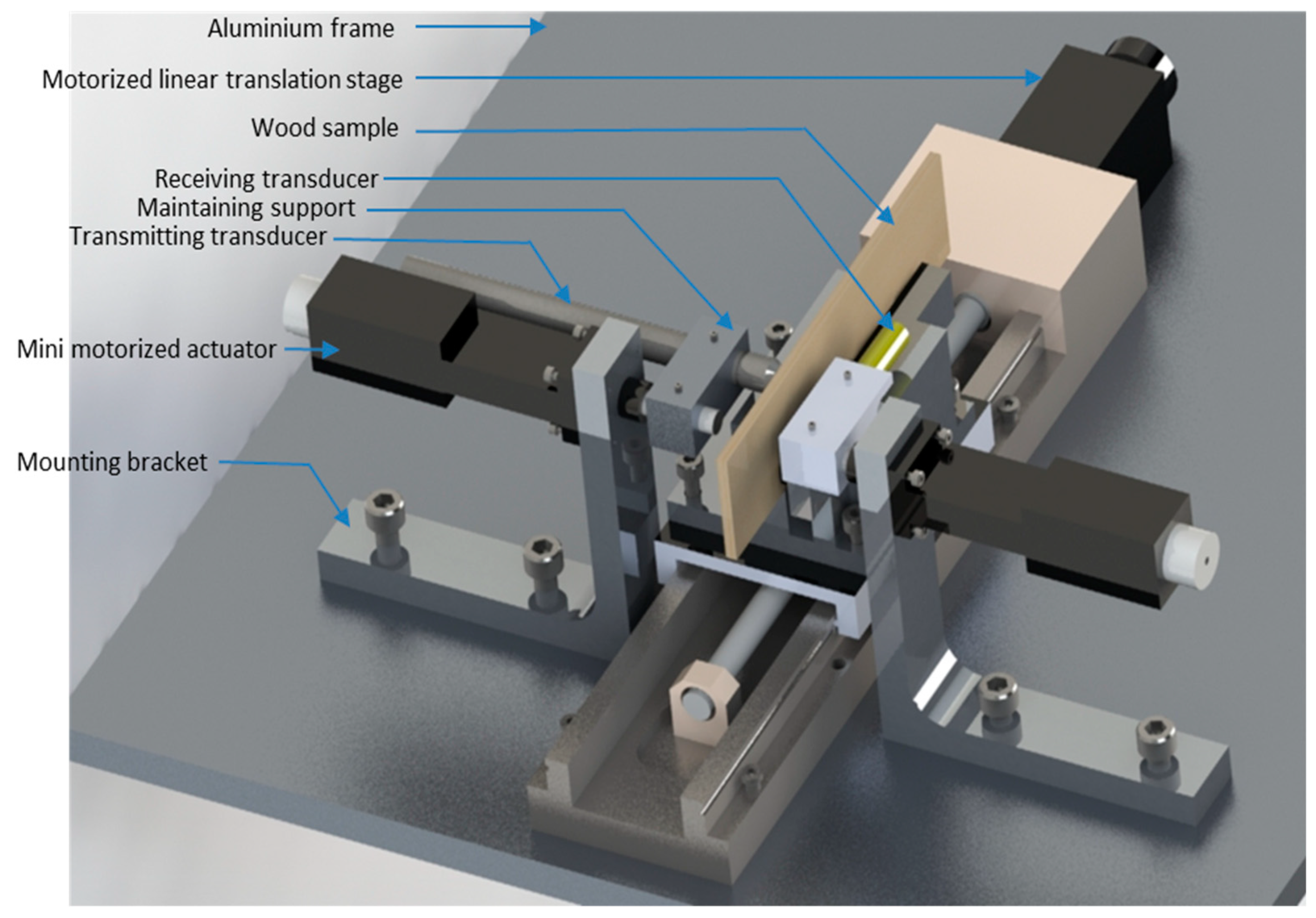 Forests 10 00569 g001