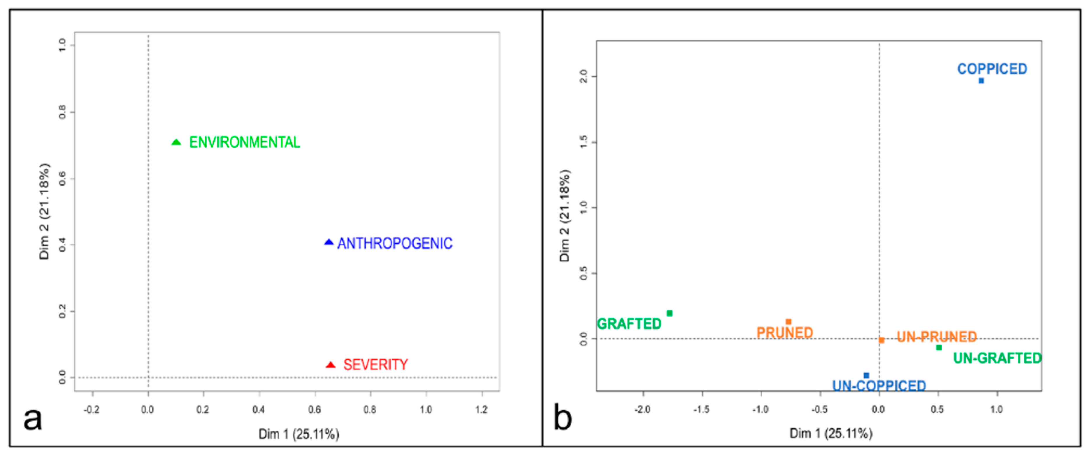 Forests 10 00571 g003 Forests 10 00571 g003