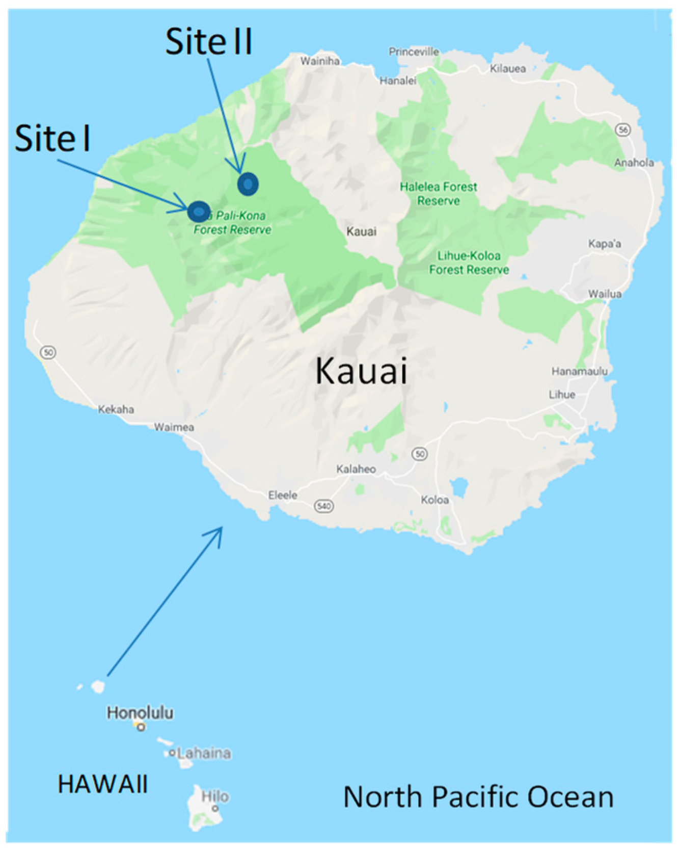 Forests 10 00576 g001 Forests 10 00576 g001