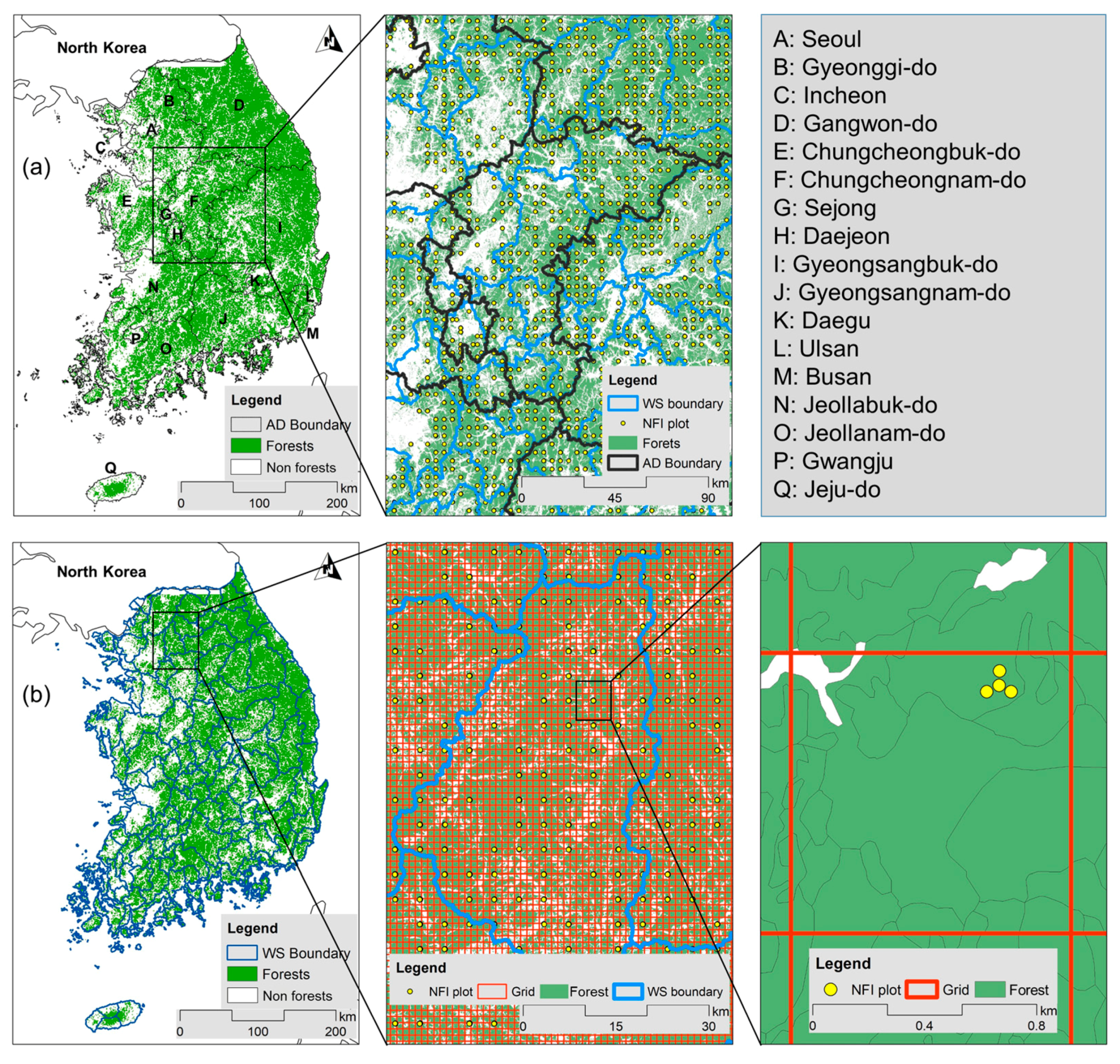 Forests 10 00579 g003