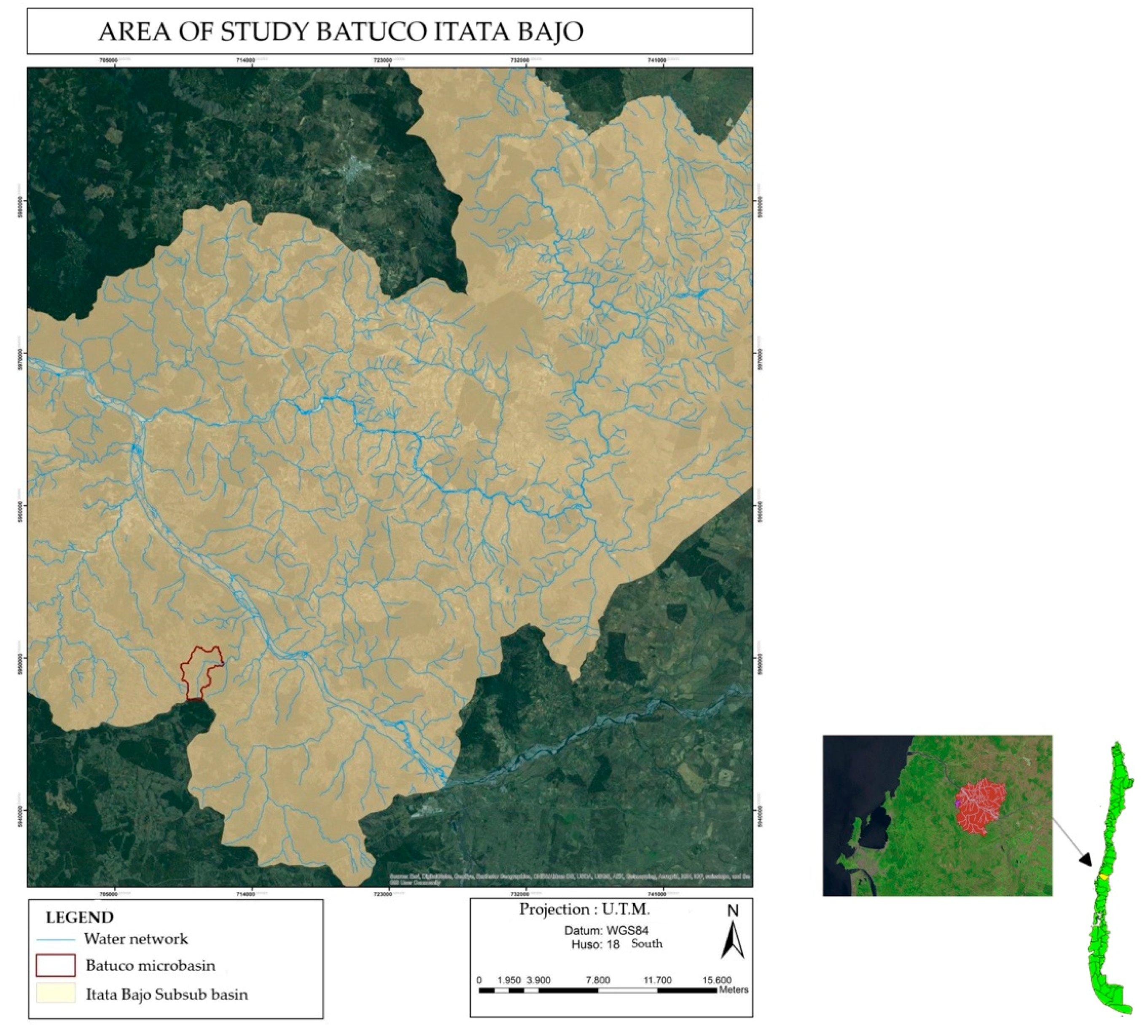 Forests 10 00580 g001