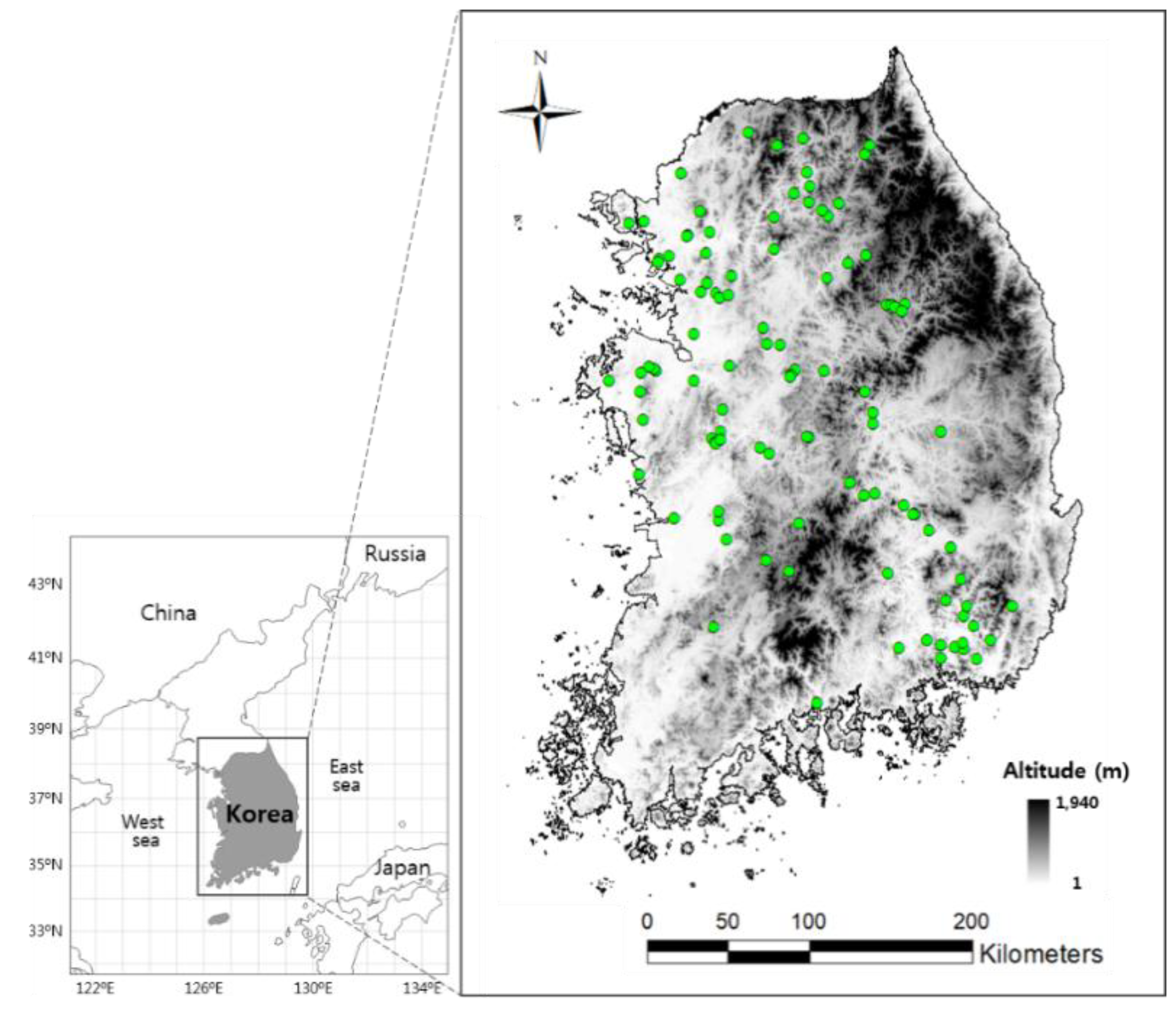 Forests 10 00583 g001