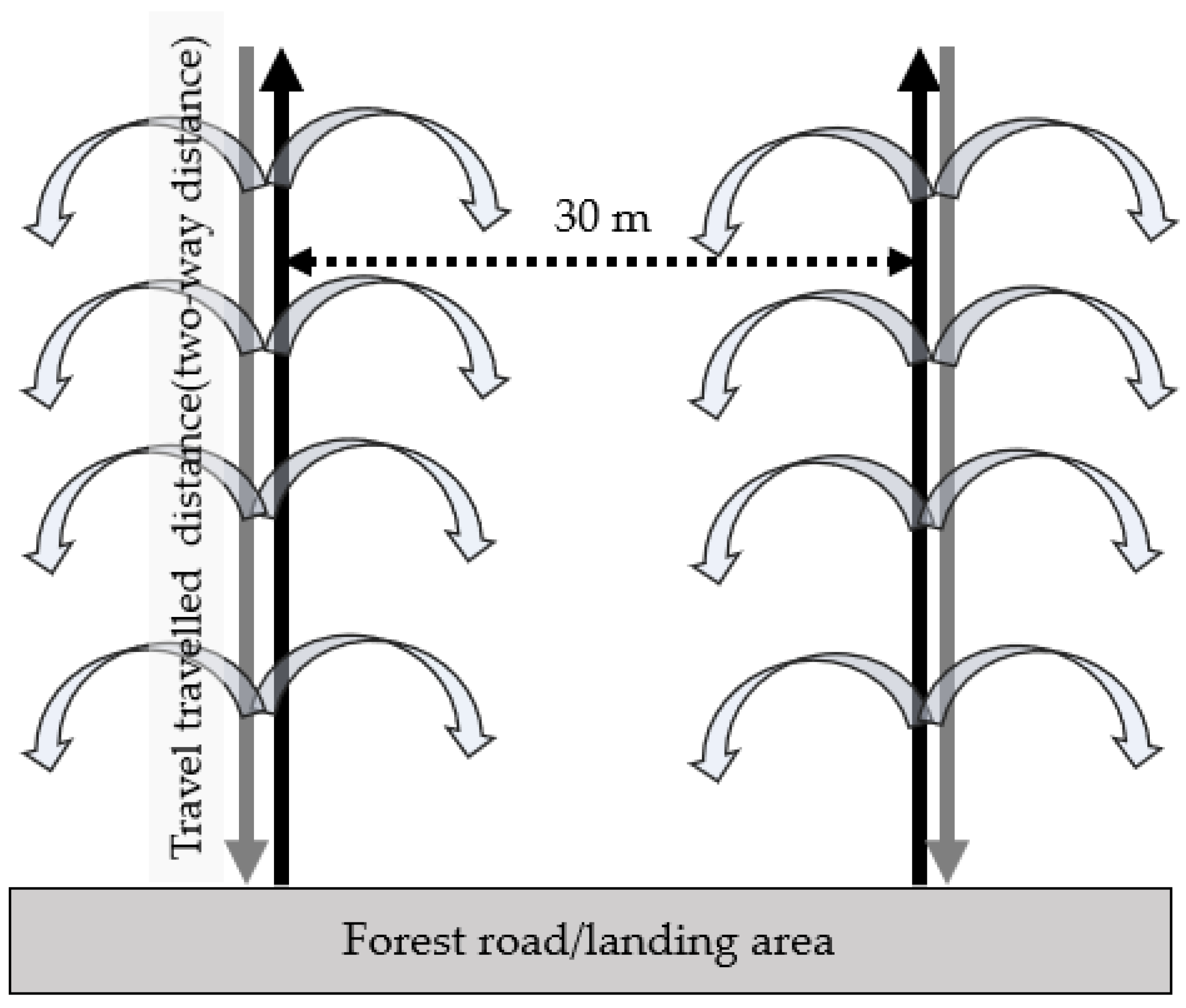 Forests 10 00585 g003 Forests 10 00585 g003