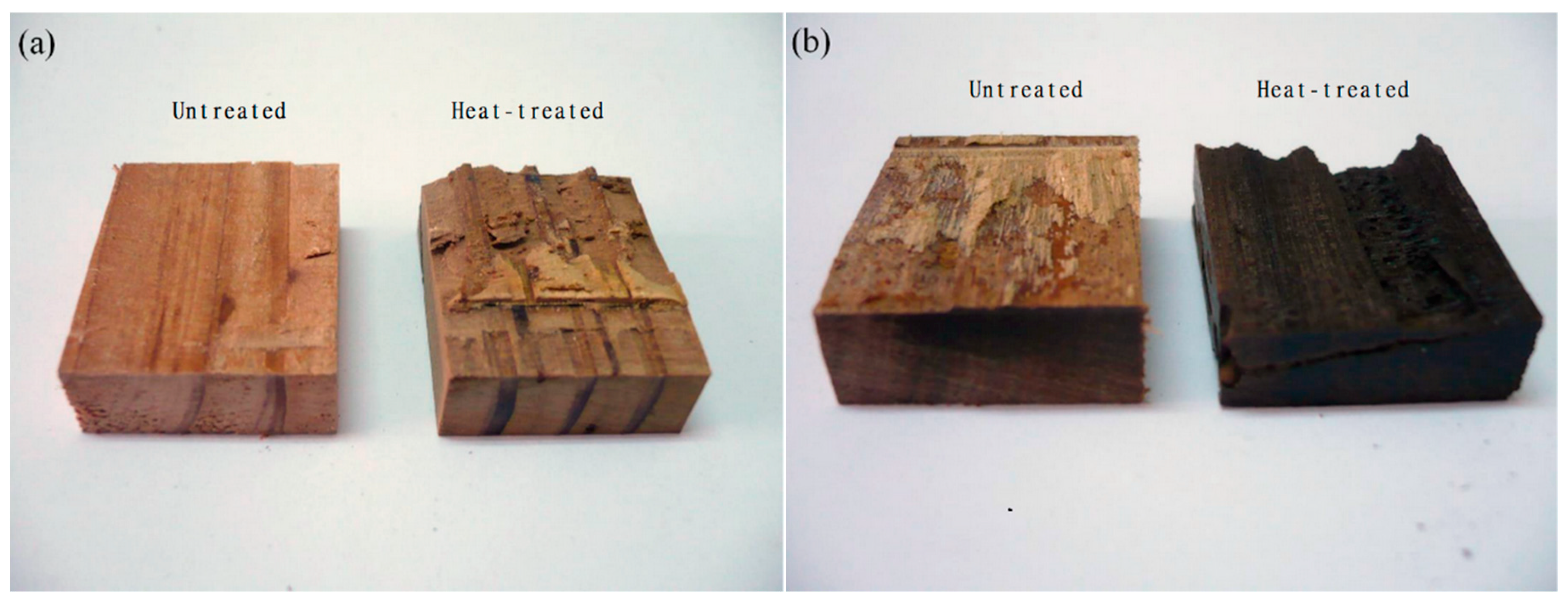 Forests 10 00586 g003