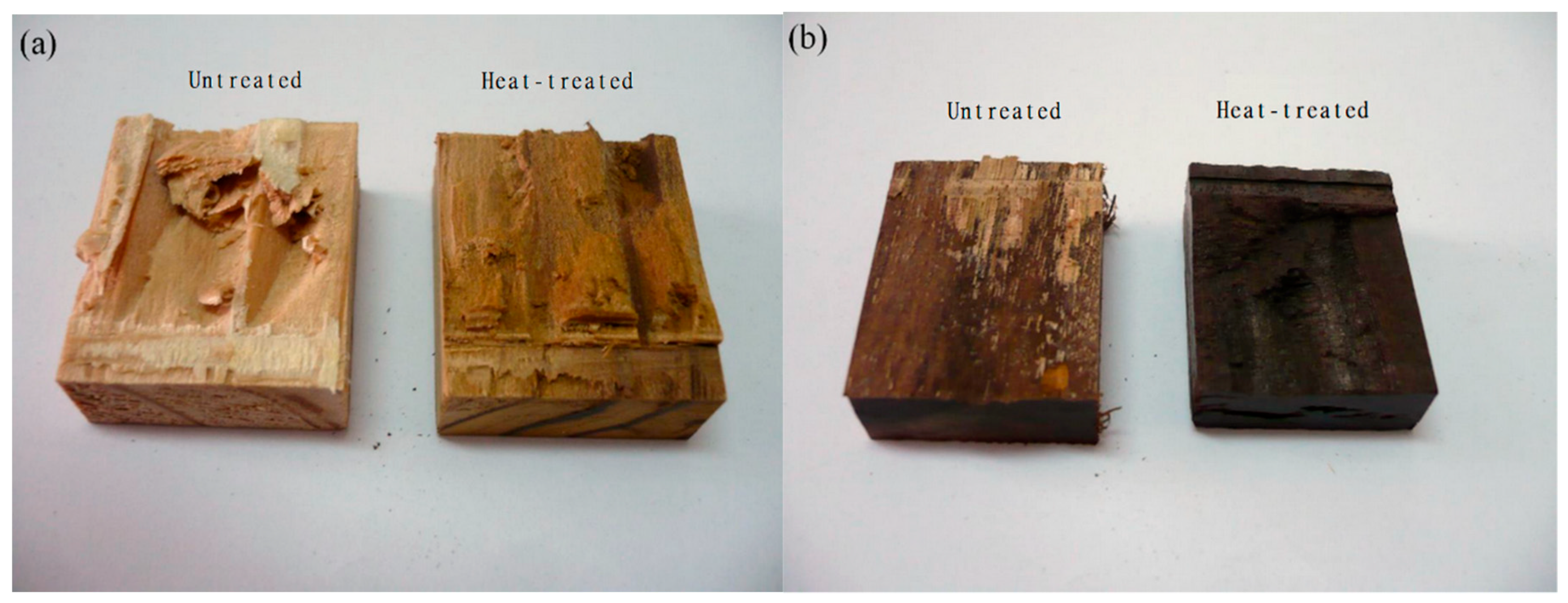 Forests 10 00586 g004
