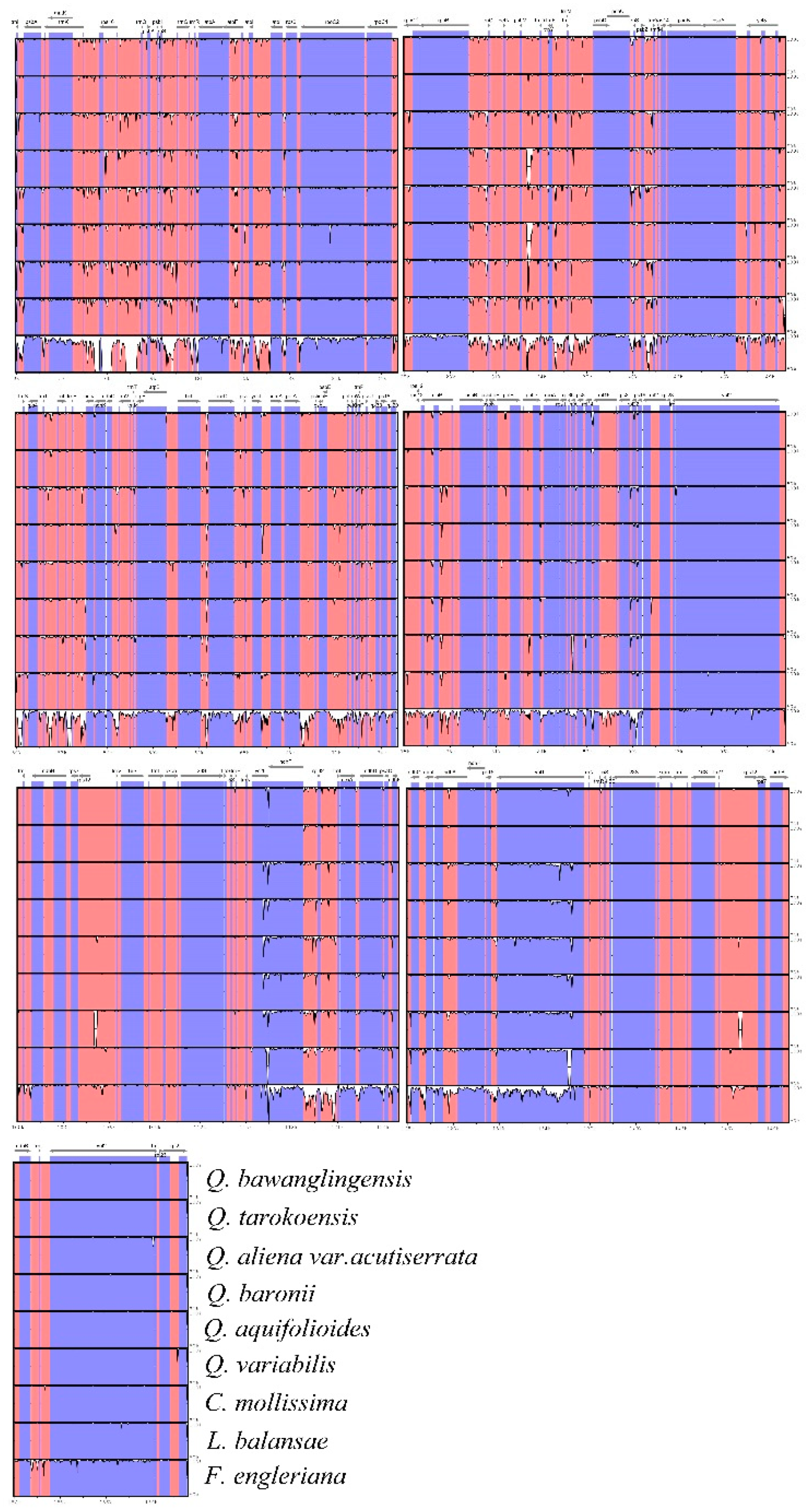 Forests 10 00587 g002 Forests 10 00587 g002