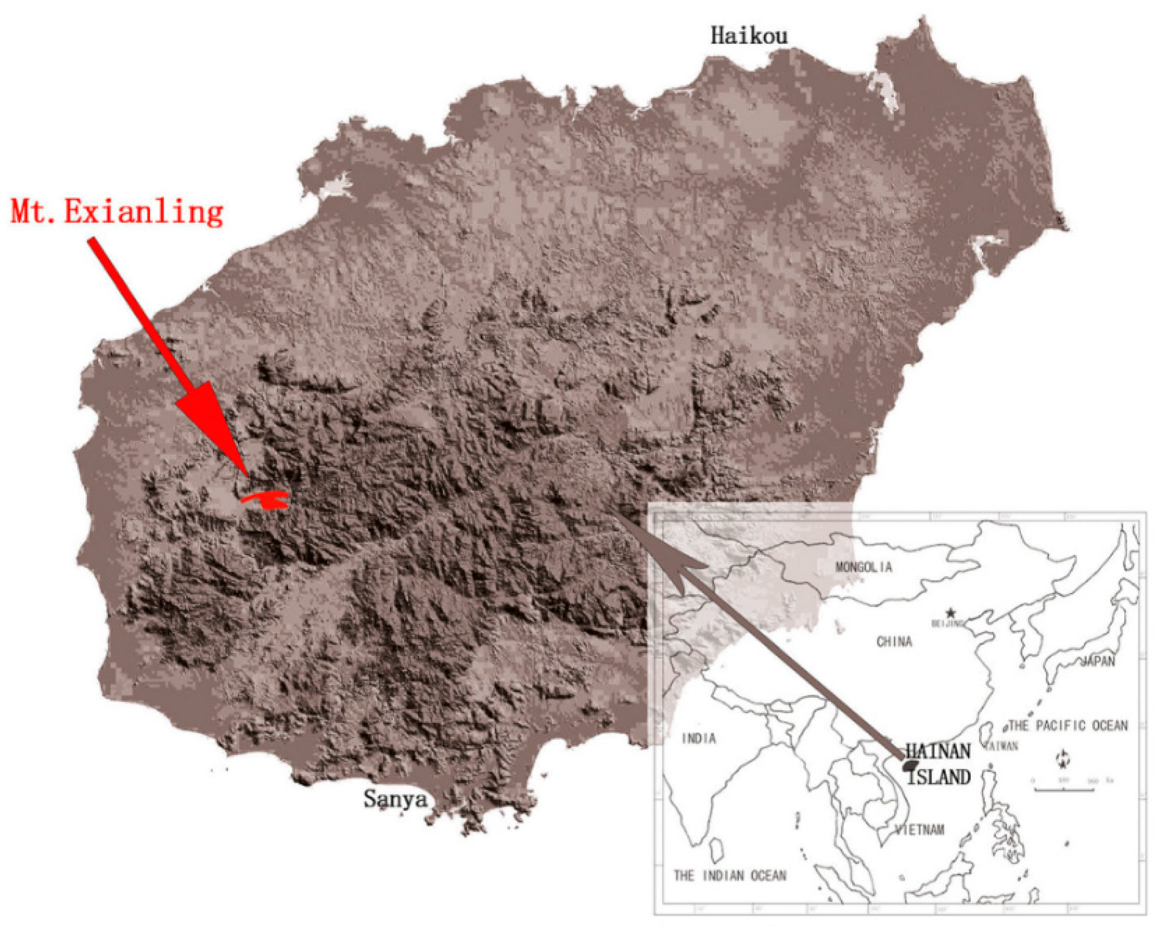 Forests 10 00587 g0a1 Forests 10 00587 g0a1