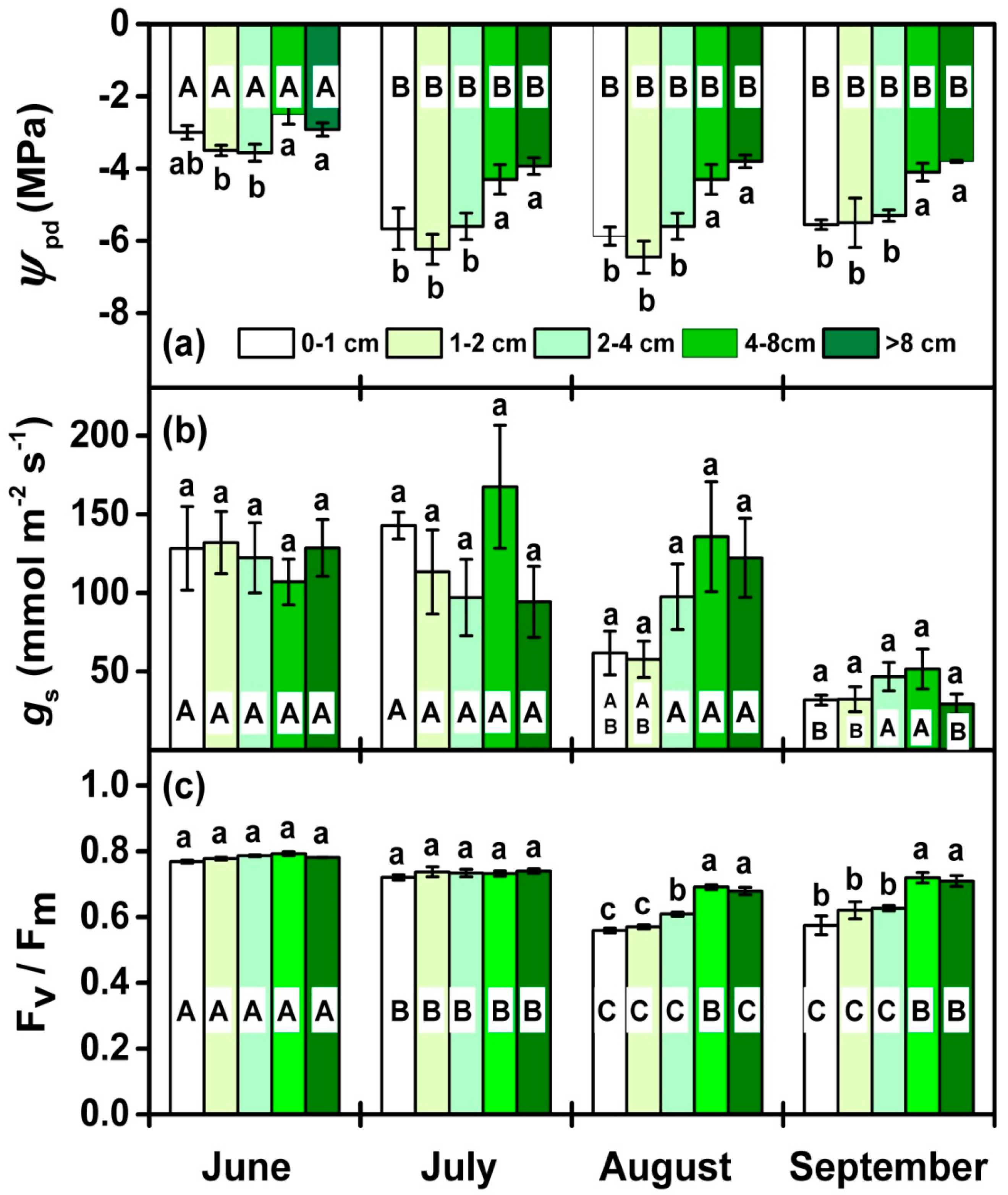 Forests 10 00592 g003 Forests 10 00592 g003