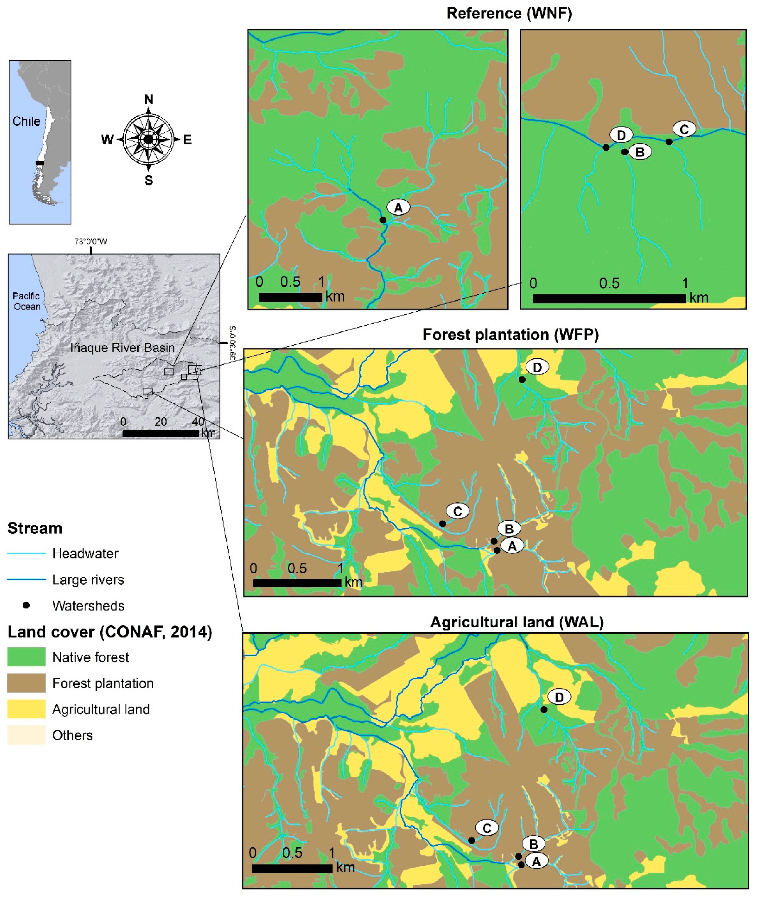 Forests 10 00595 g001 Forests 10 00595 g001