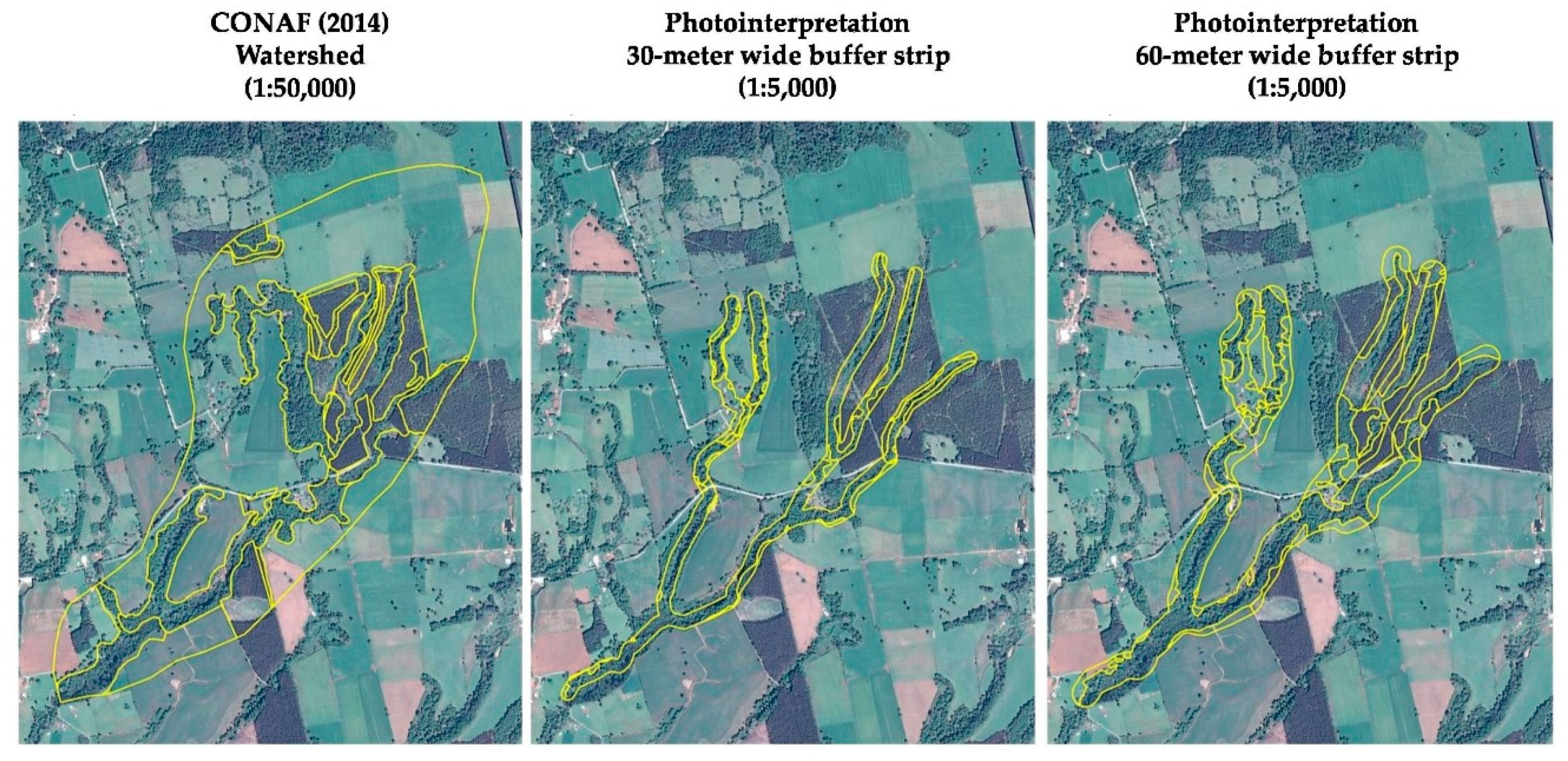 Forests 10 00595 g002 Forests 10 00595 g002