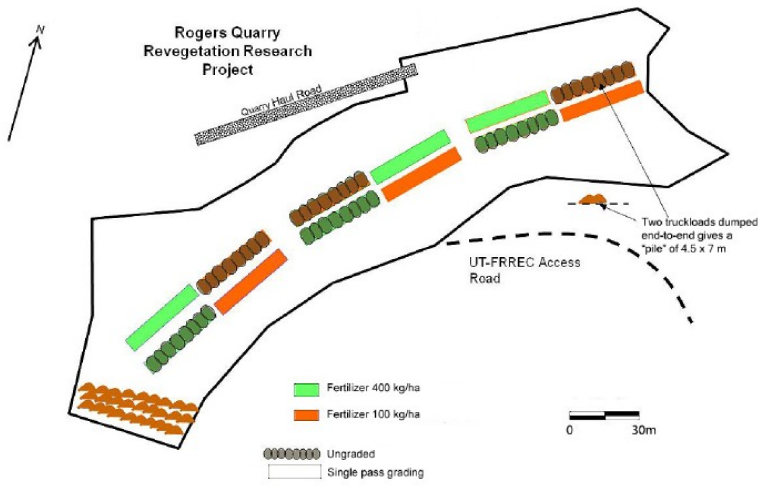 Forests 10 00597 g001