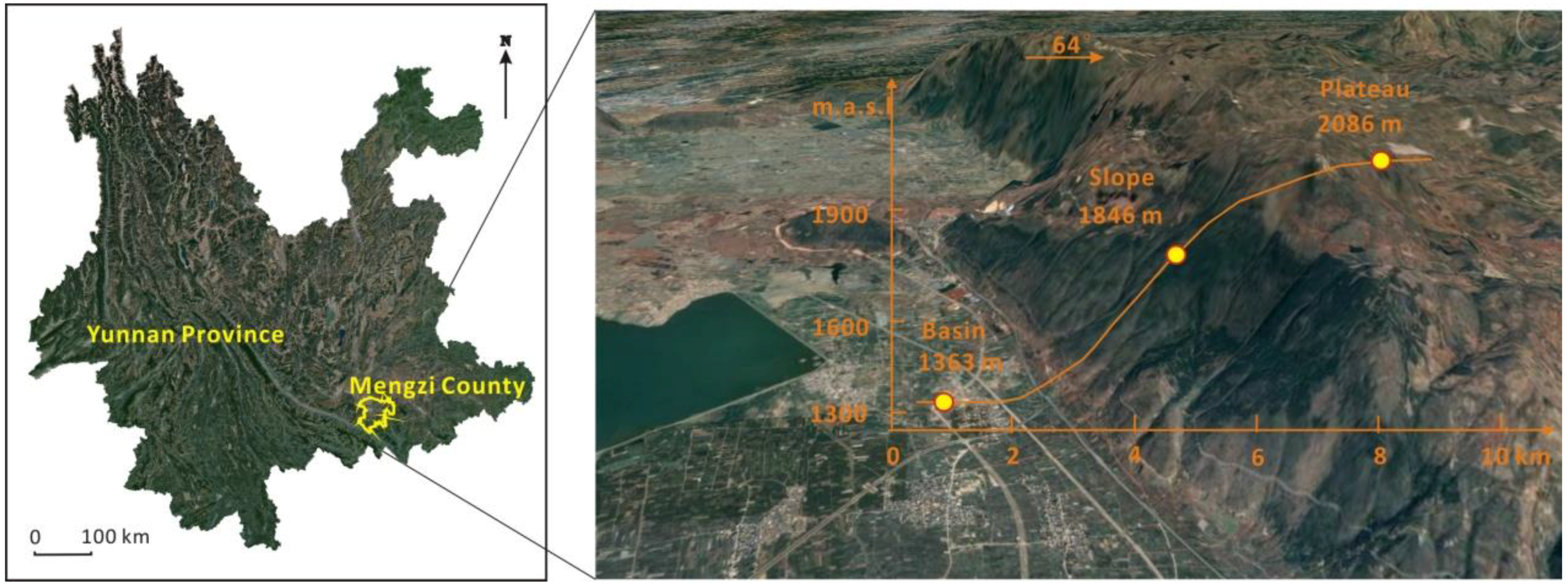 Forests 10 00601 g001 Forests 10 00601 g001
