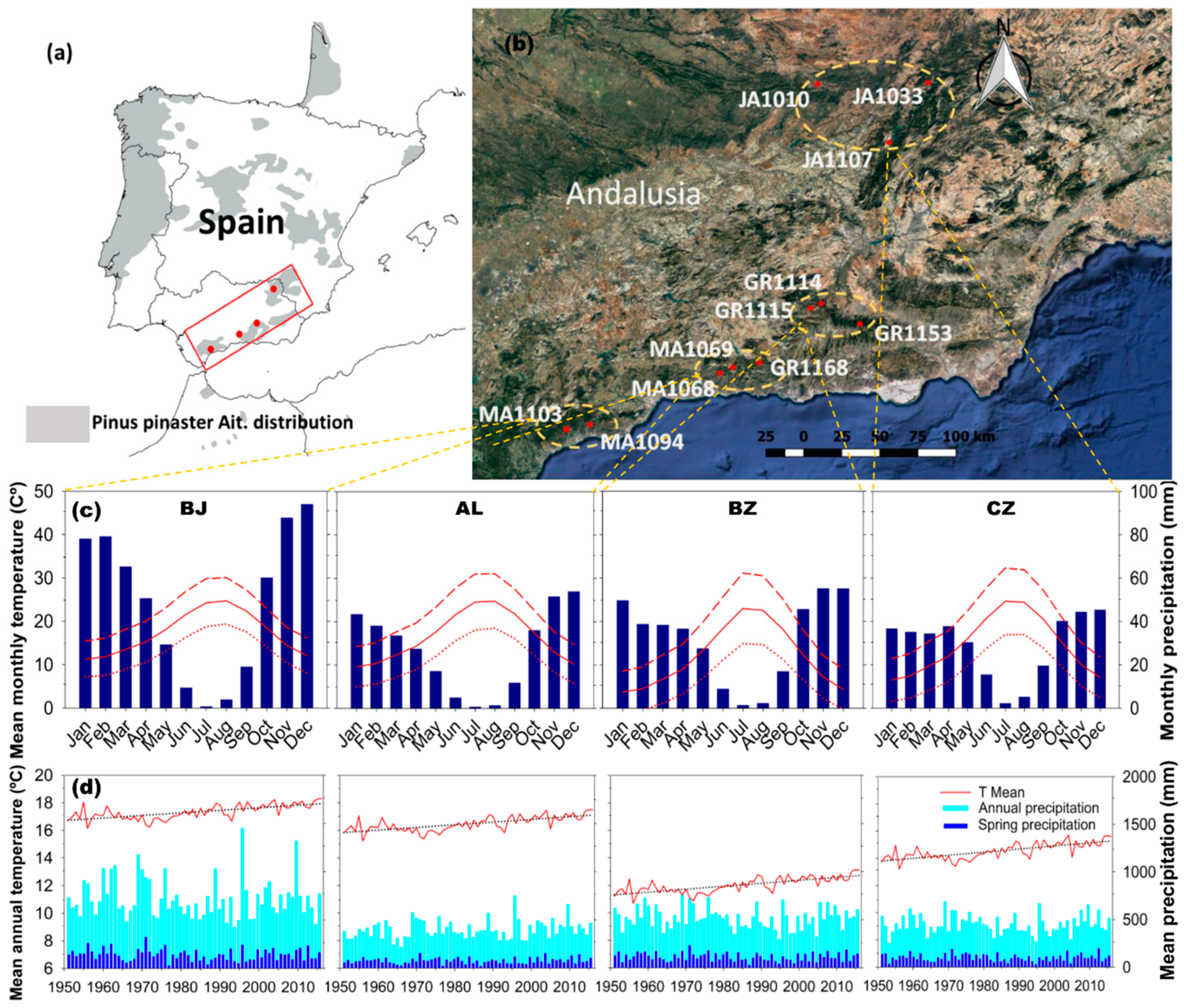 Forests 10 00603 g001 Forests 10 00603 g001
