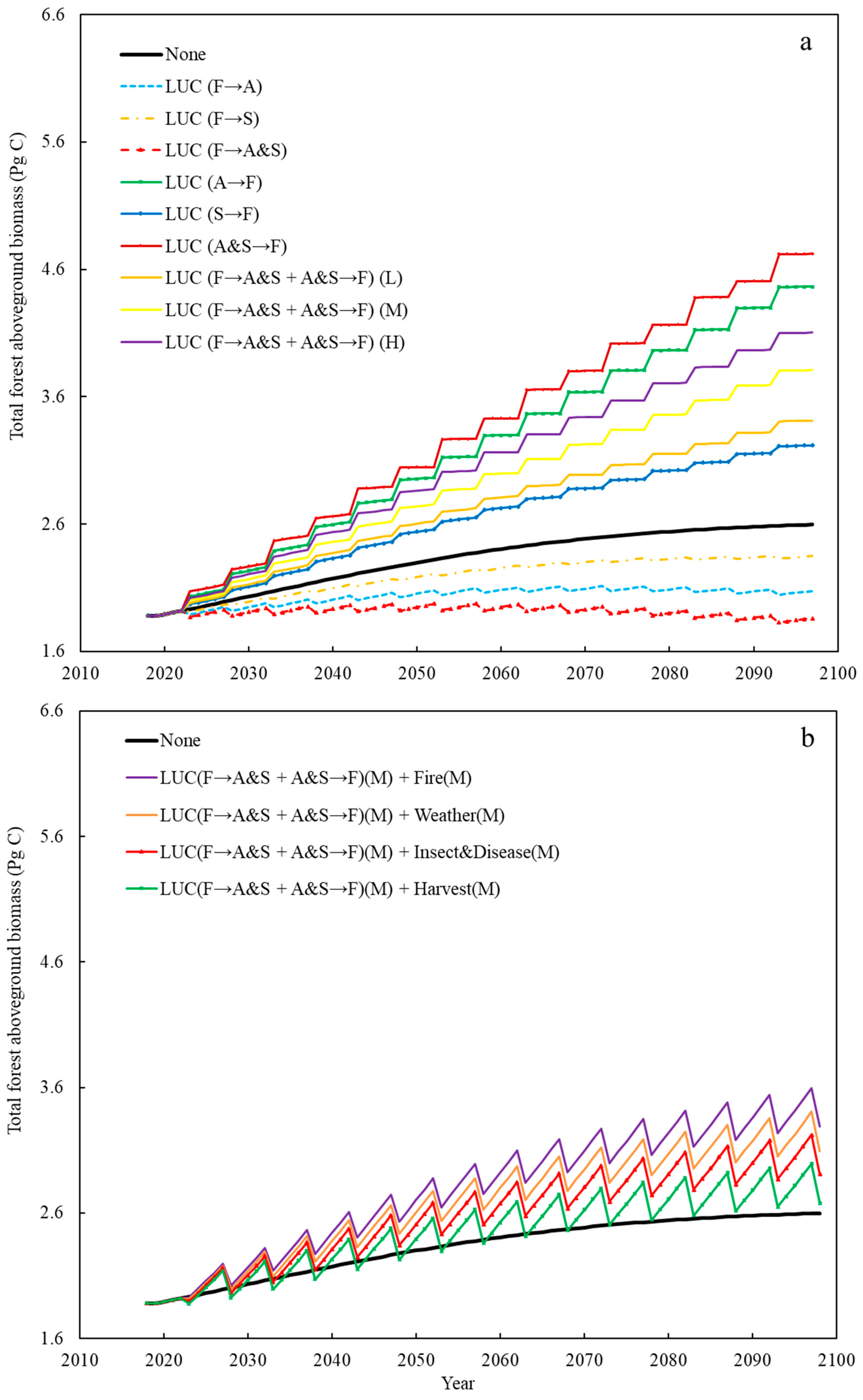 Forests 10 00606 g006 Forests 10 00606 g006