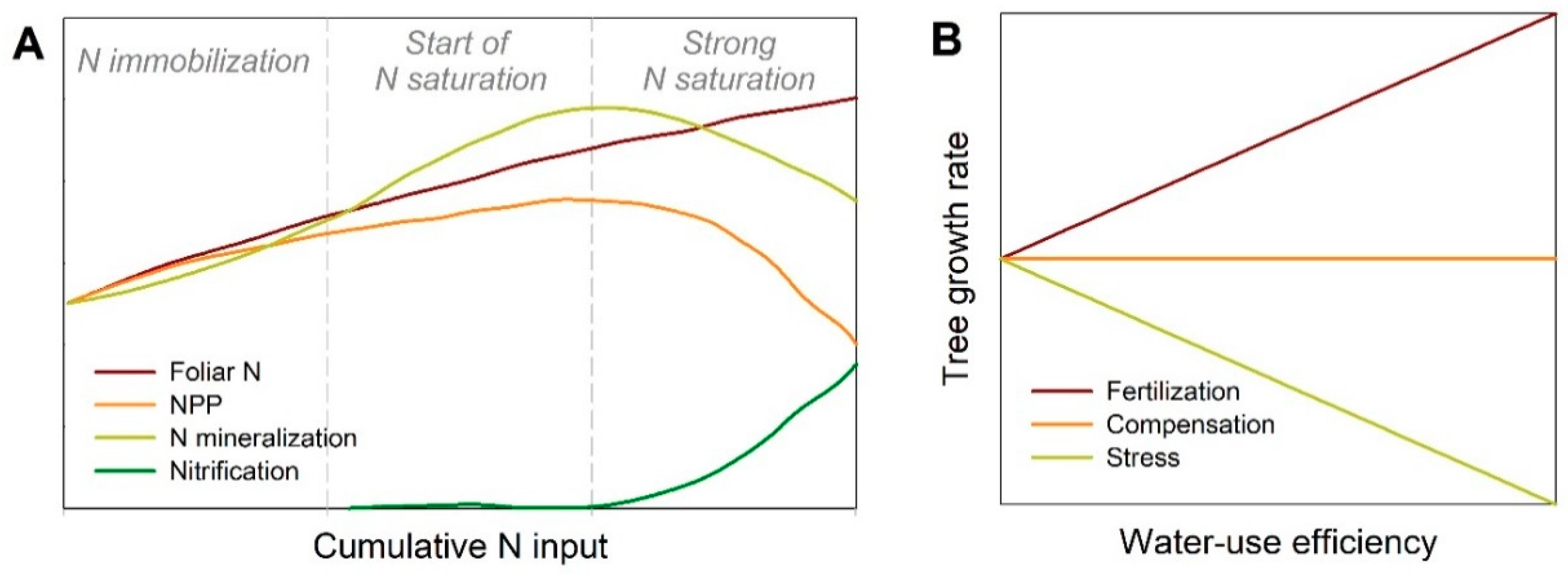 Forests 10 00609 g002 Forests 10 00609 g002