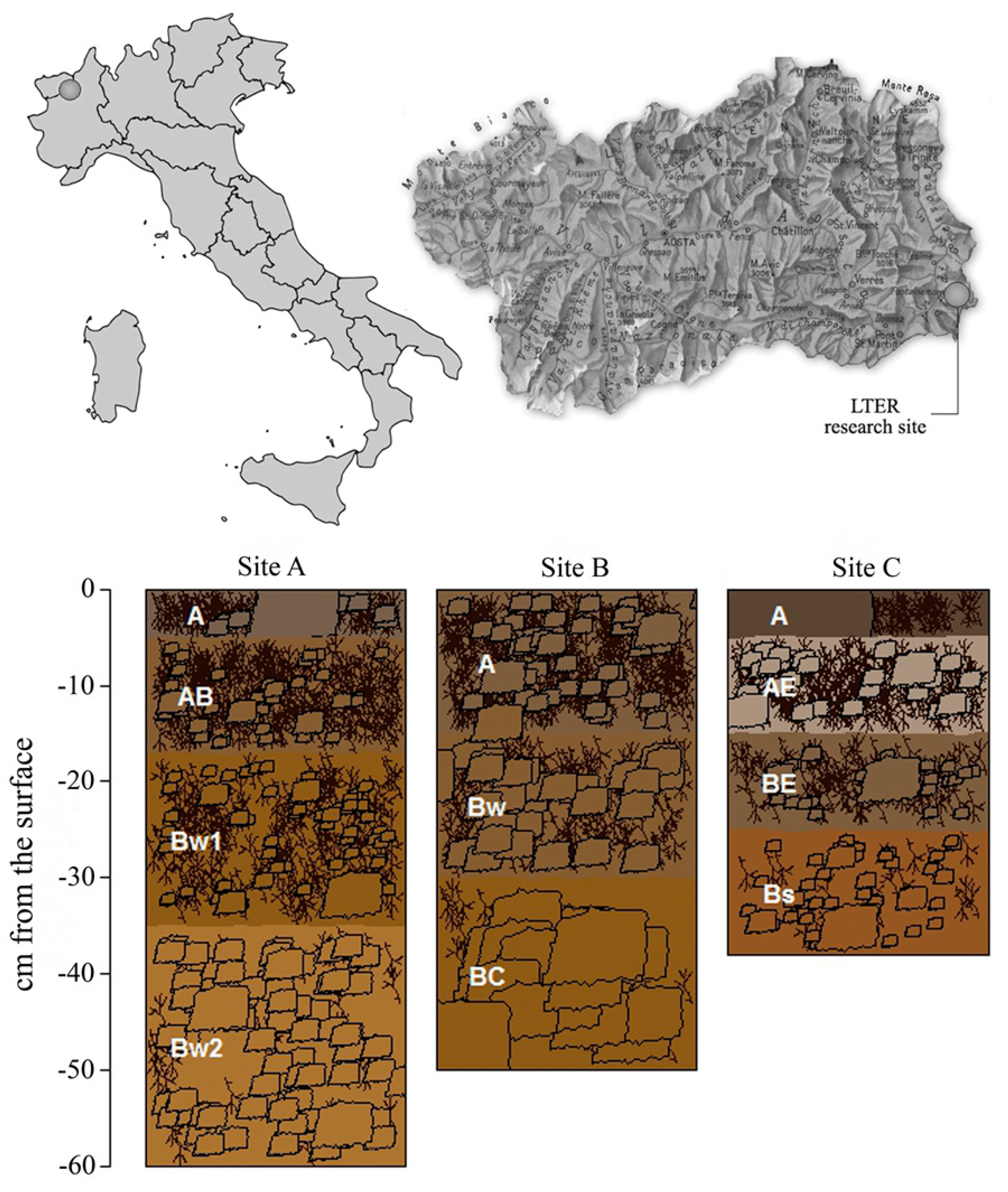 Forests 10 00614 g001 Forests 10 00614 g001