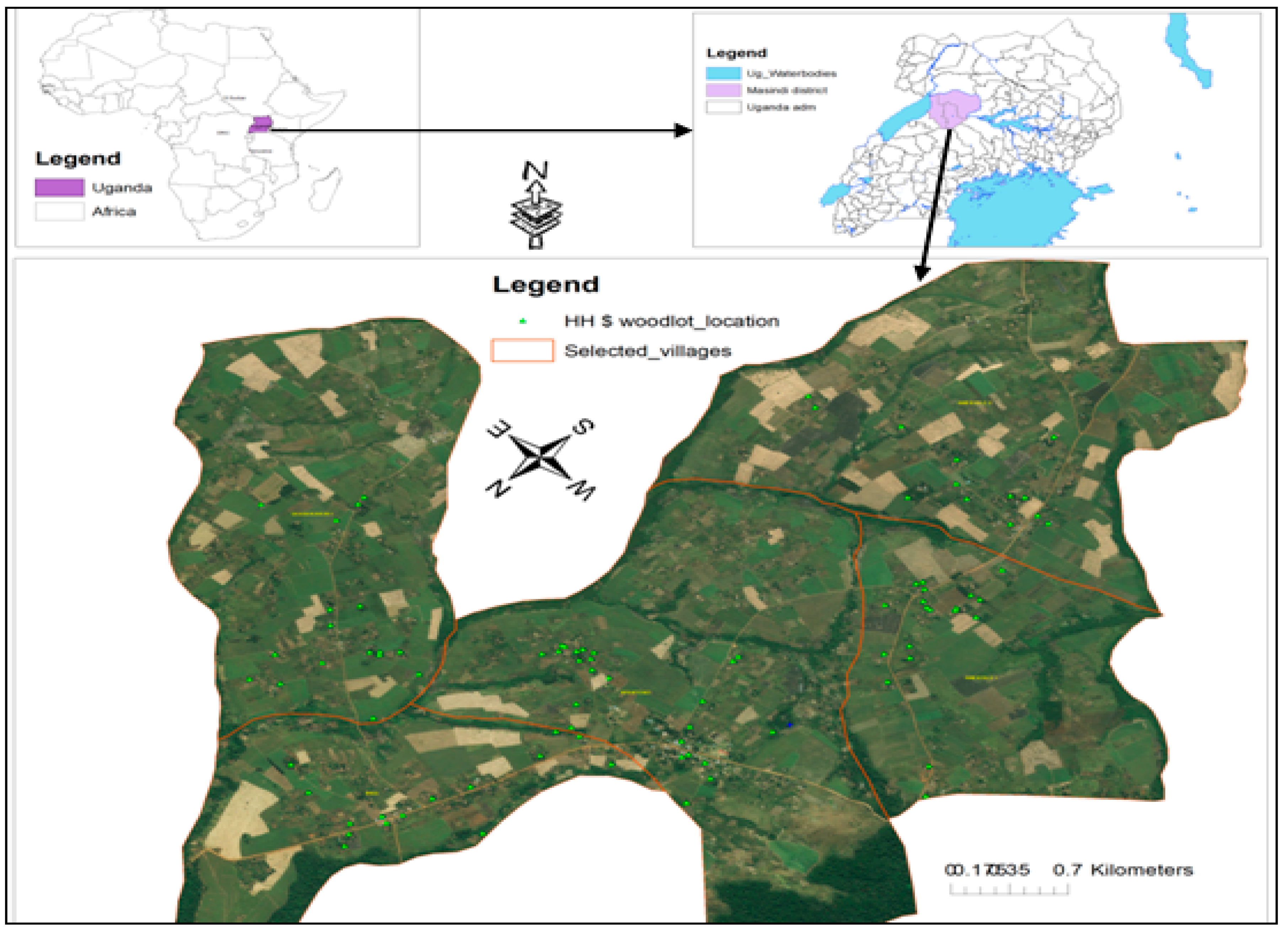 Forests 10 00619 g001 Forests 10 00619 g001