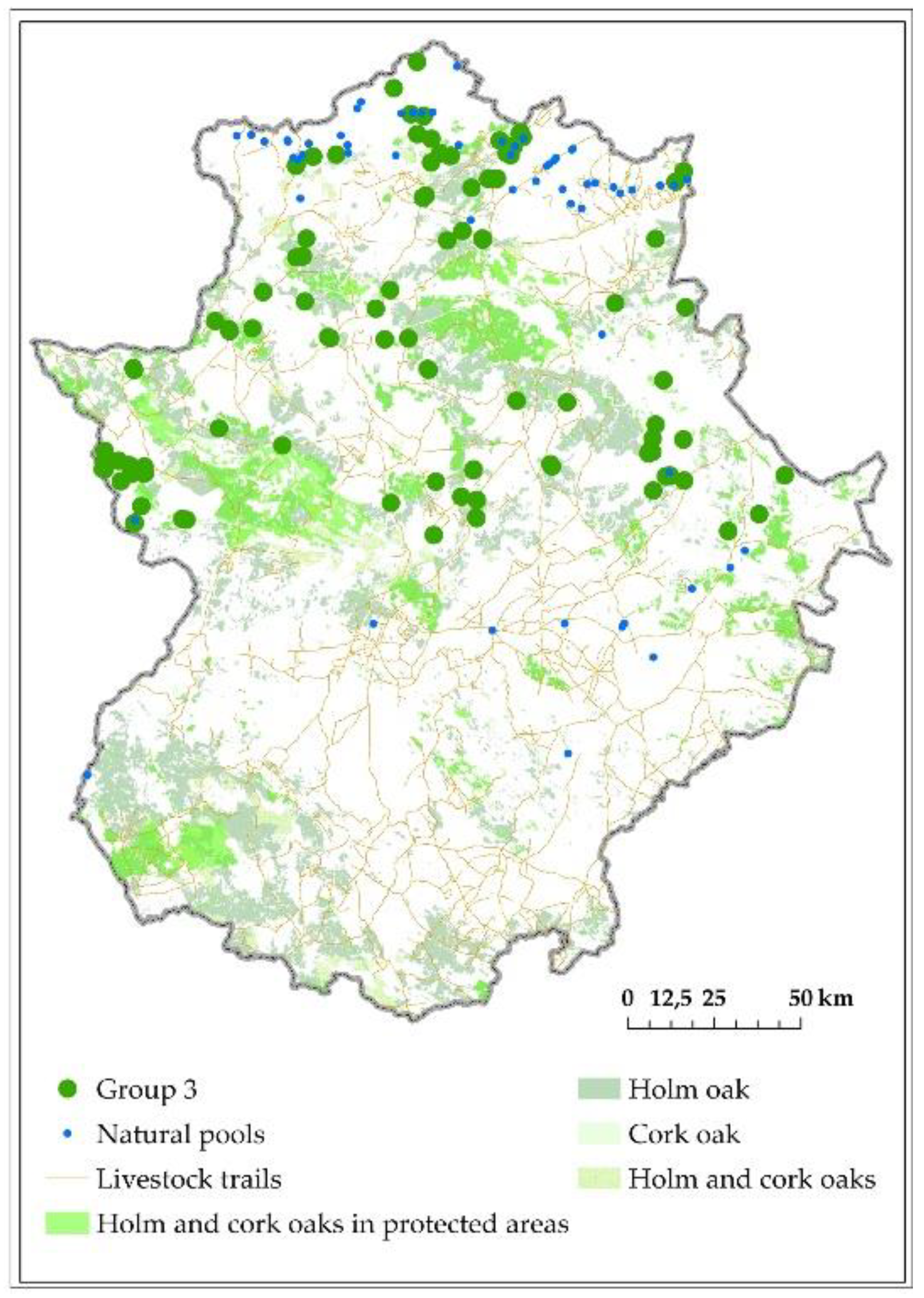 Forests 10 00620 g009