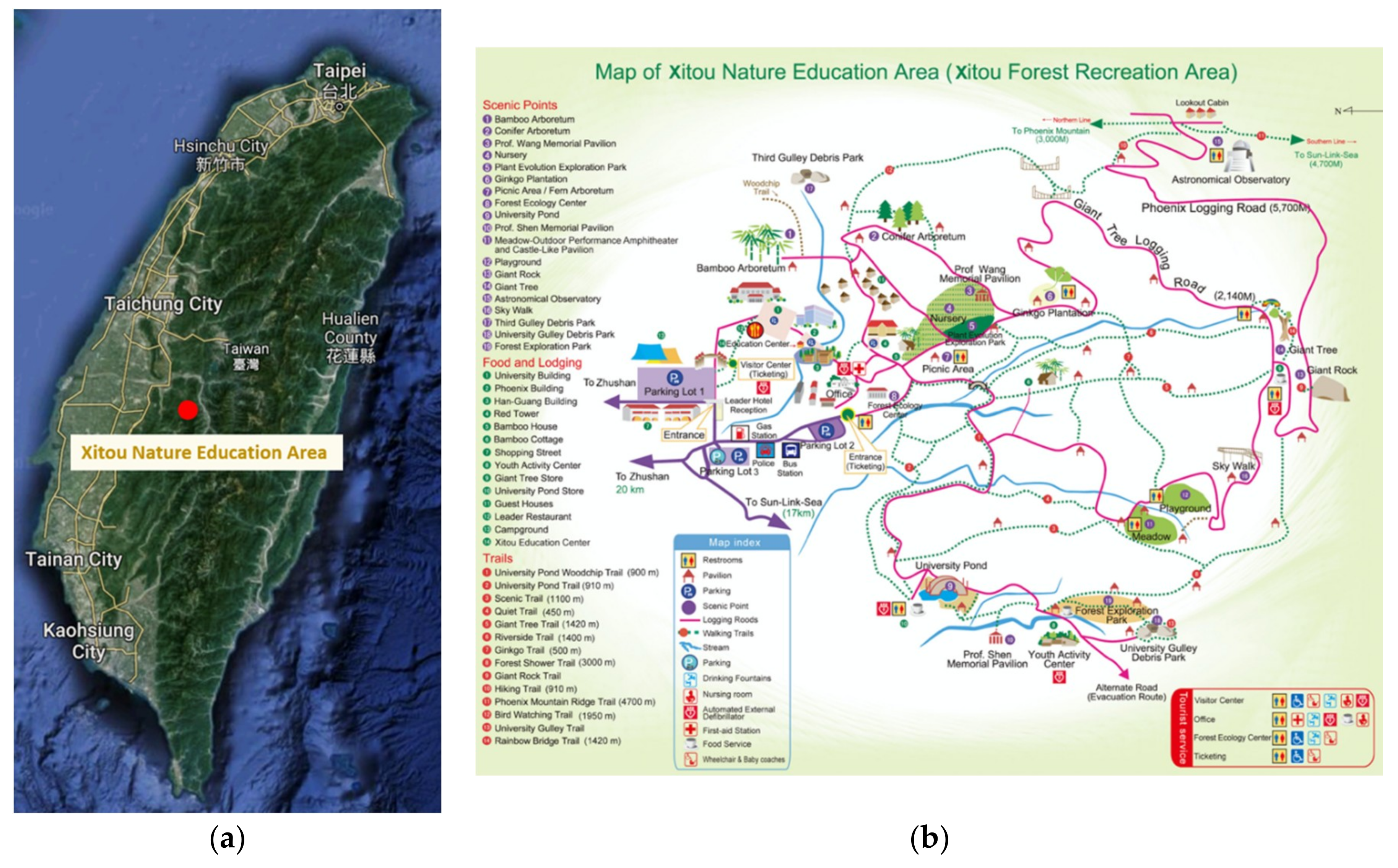 Forests 10 00636 g002 Forests 10 00636 g002