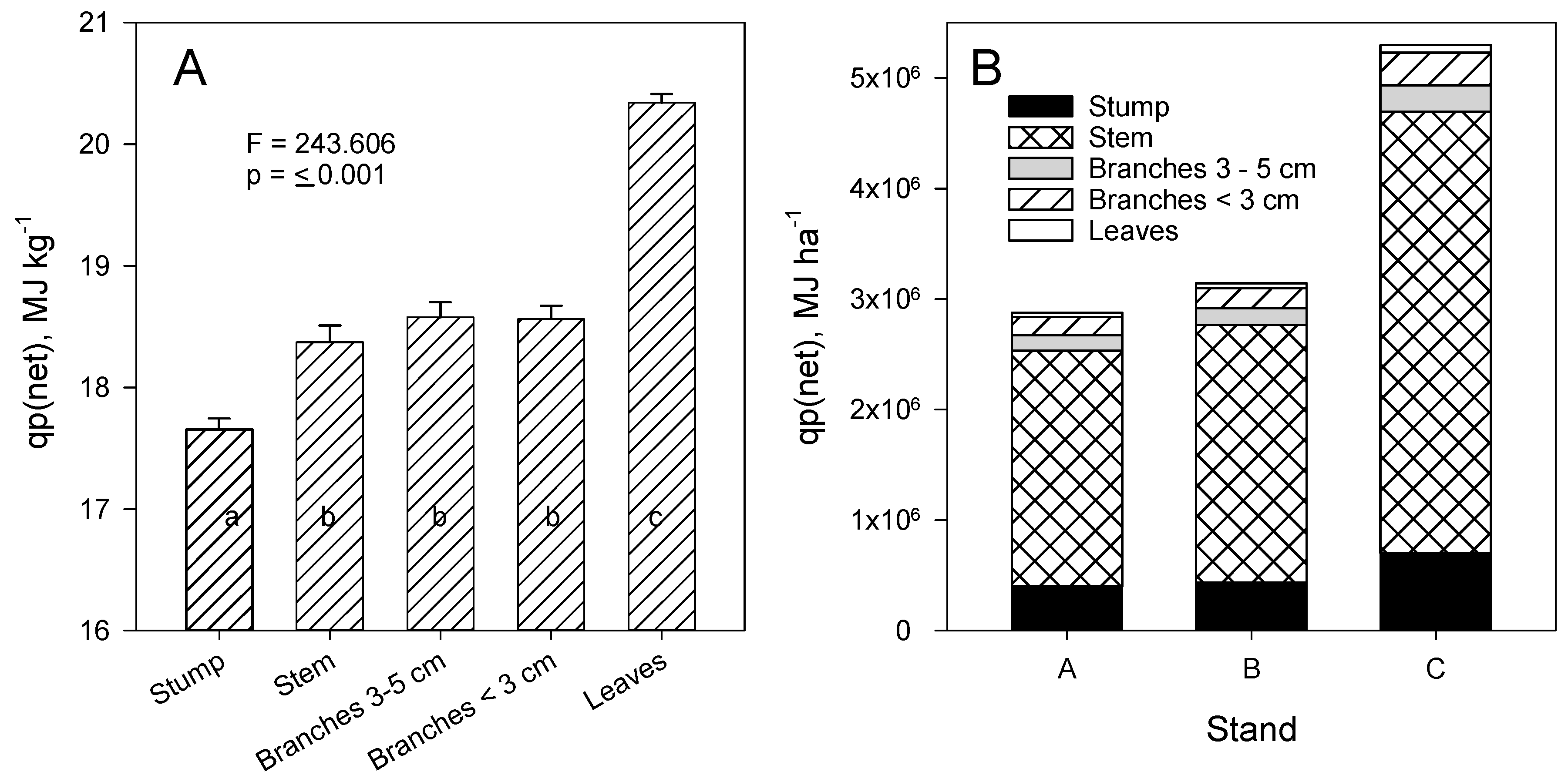 Forests 10 00638 g004 Forests 10 00638 g004
