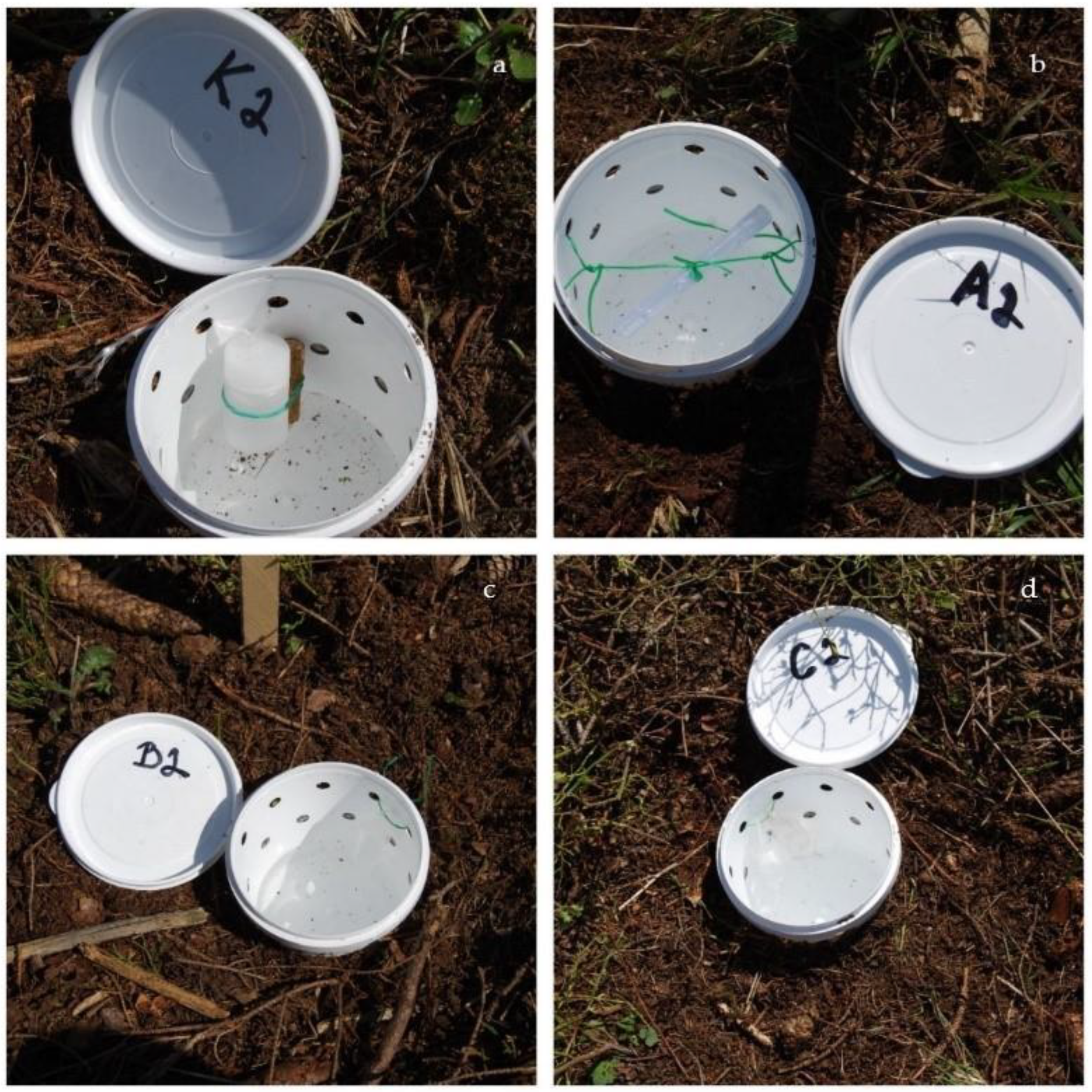 Forests 10 00642 g002 550