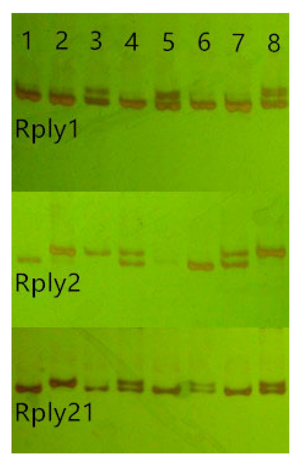 Forests 10 00644 g002 Forests 10 00644 g002