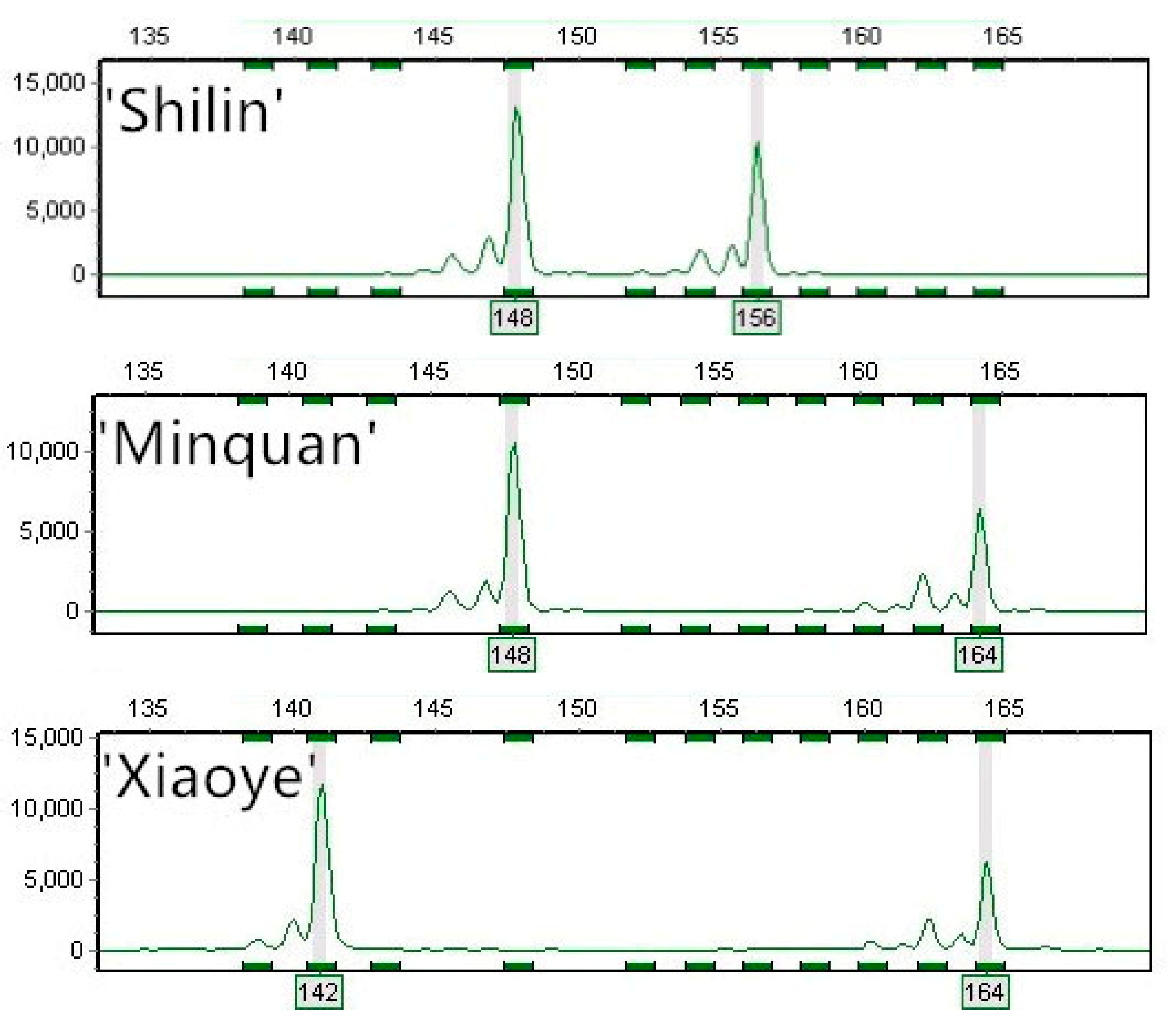 Forests 10 00644 g004 Forests 10 00644 g004