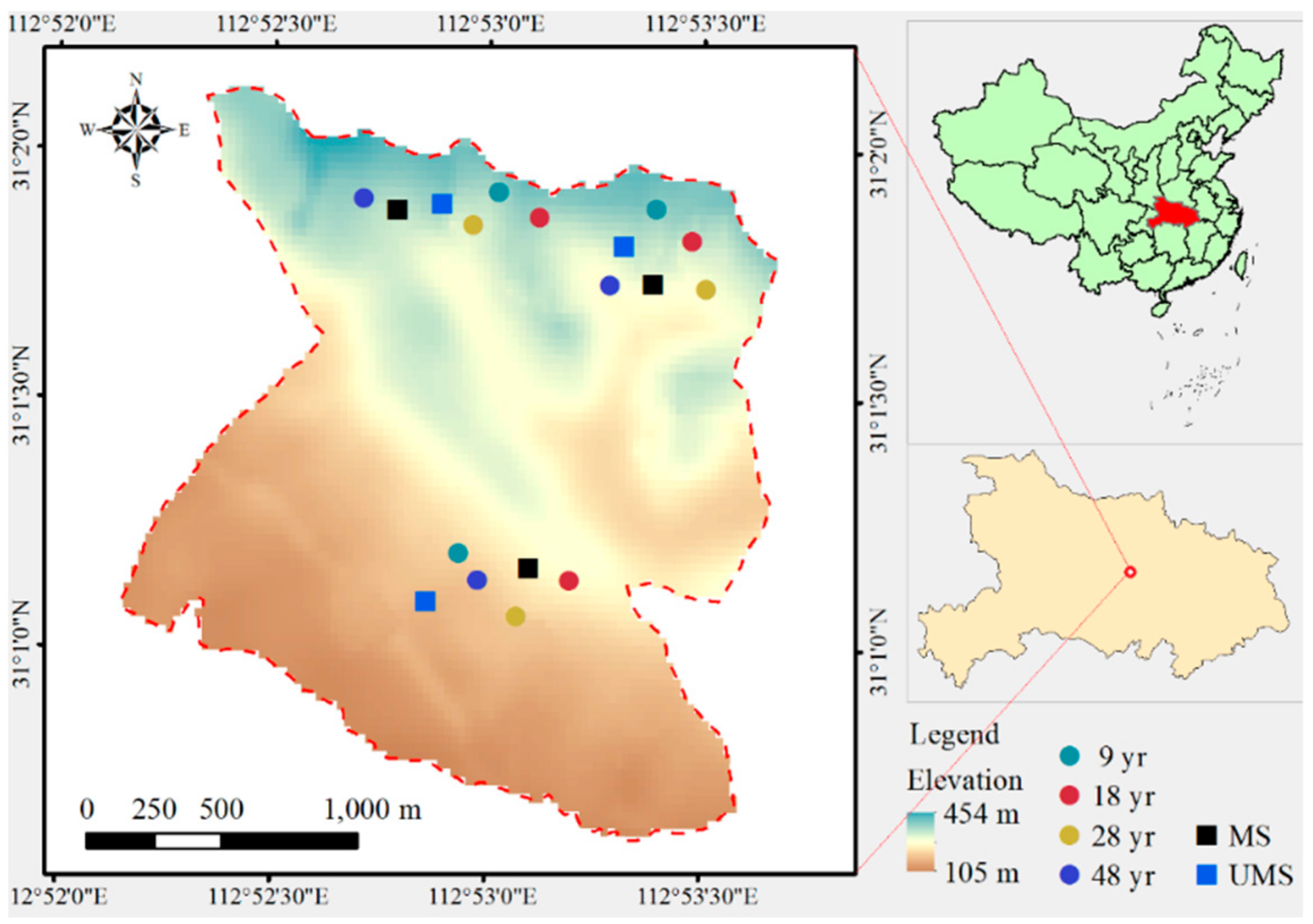 Forests 10 00645 g001 Forests 10 00645 g001