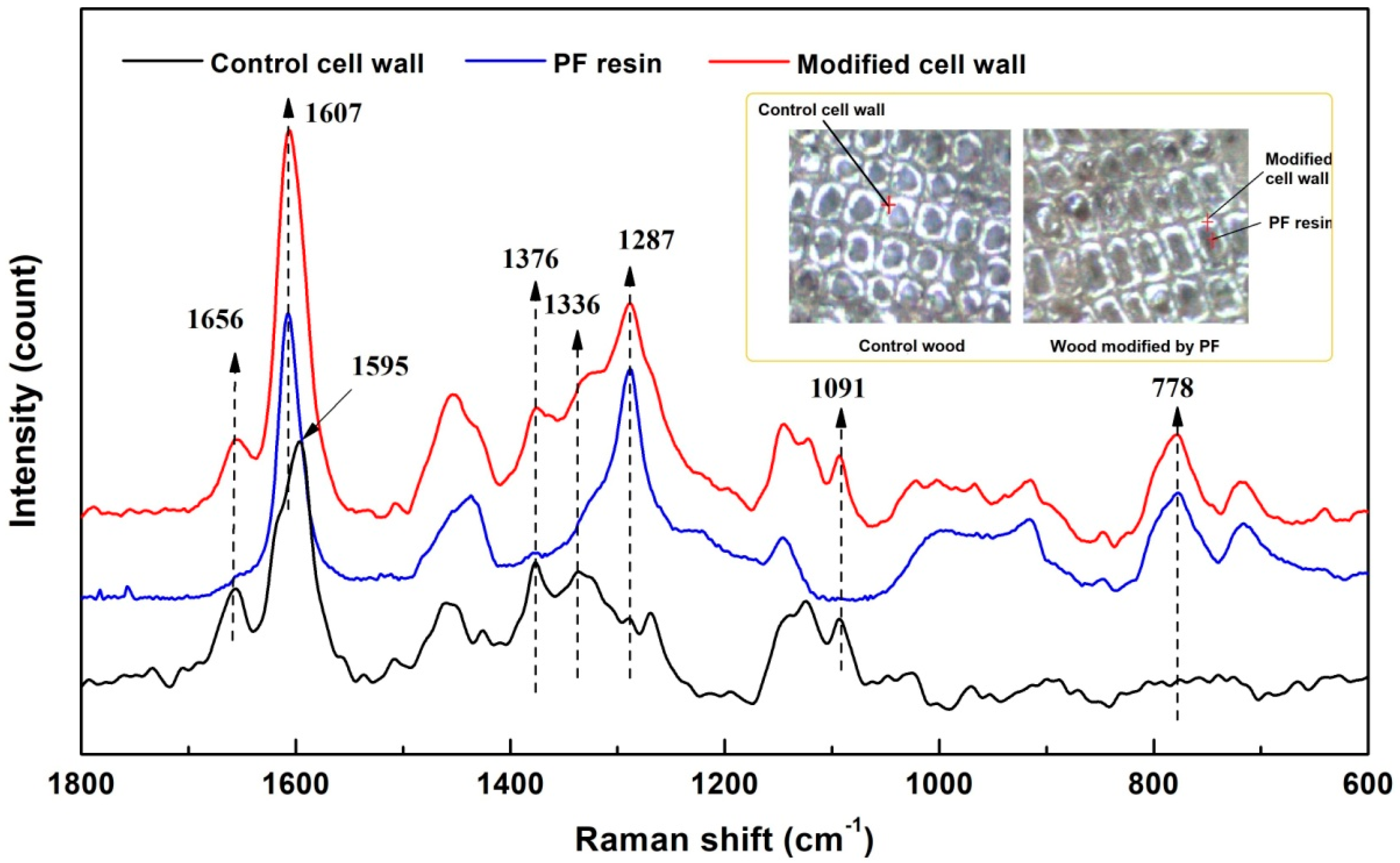 Forests 10 00646 g004