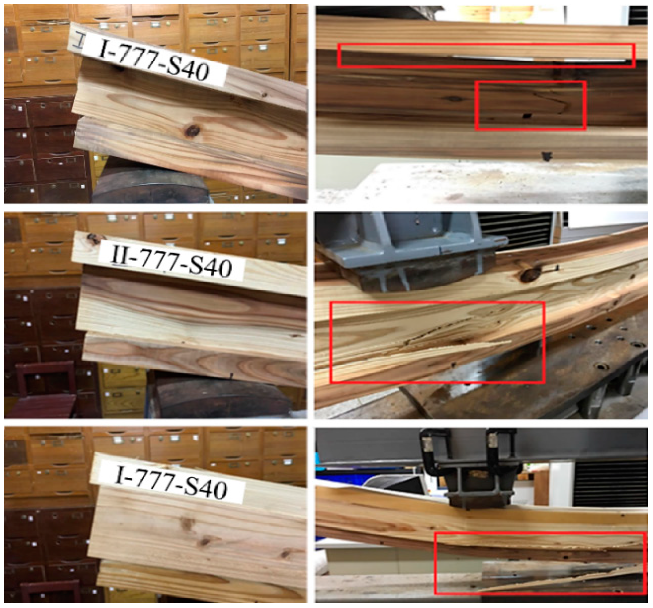 Forests 10 00647 g006