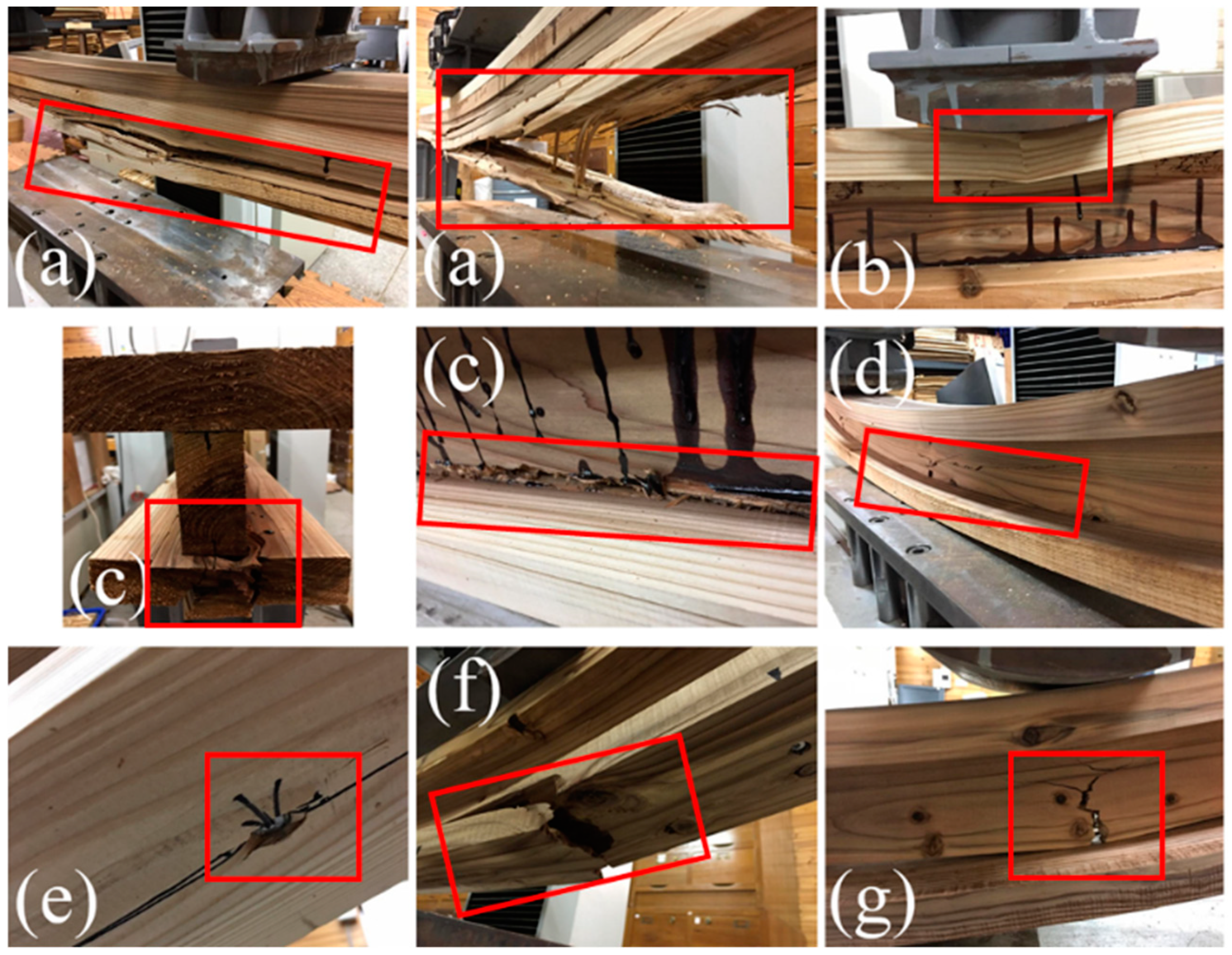 Forests 10 00647 g007