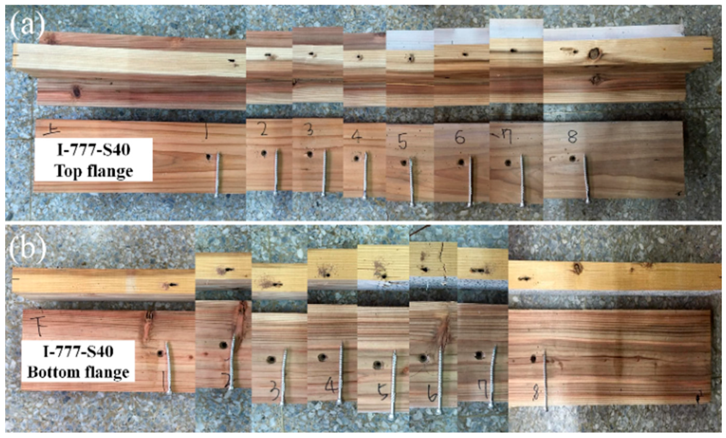 Forests 10 00647 g010