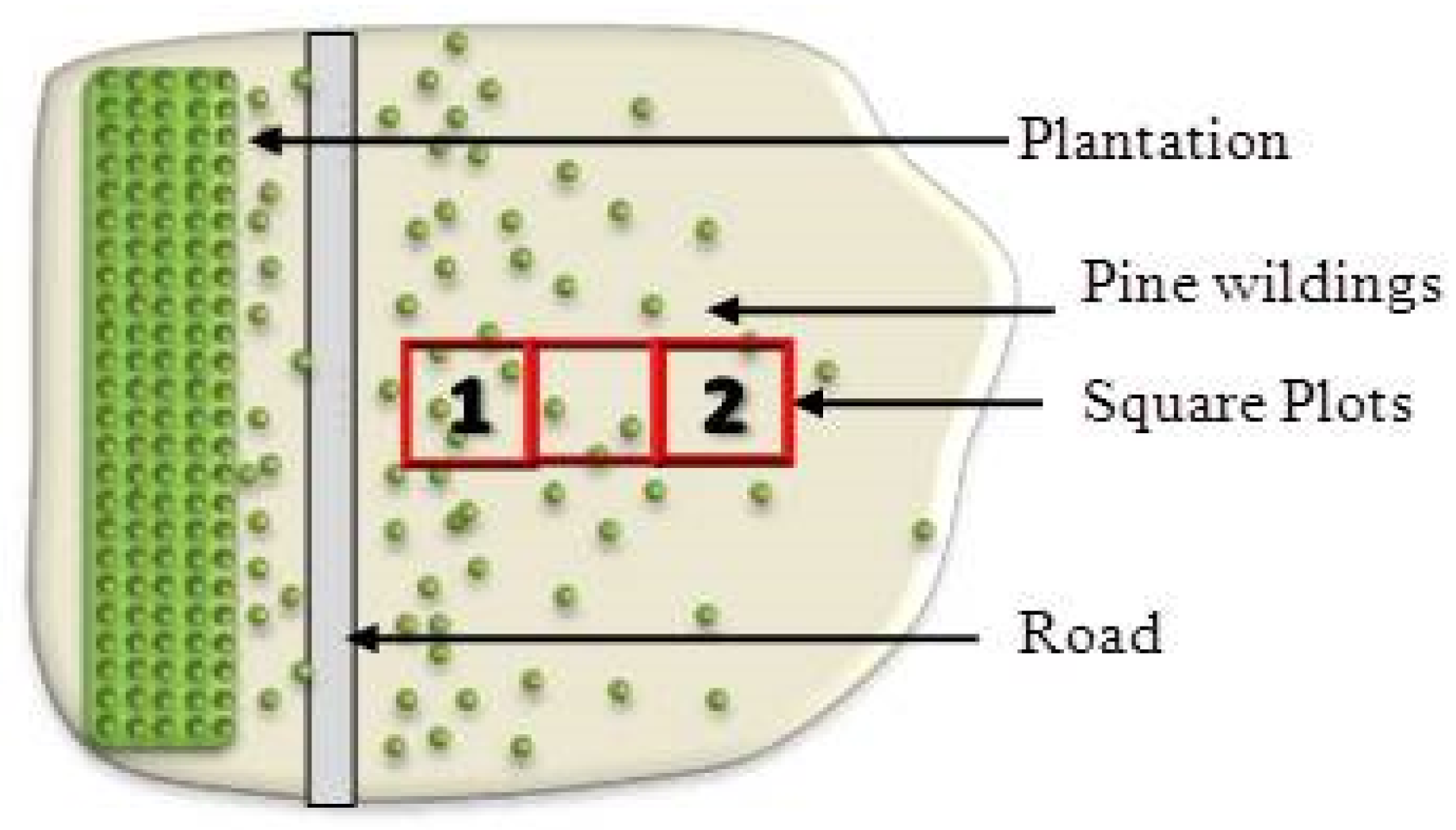 Forests 10 00654 g002