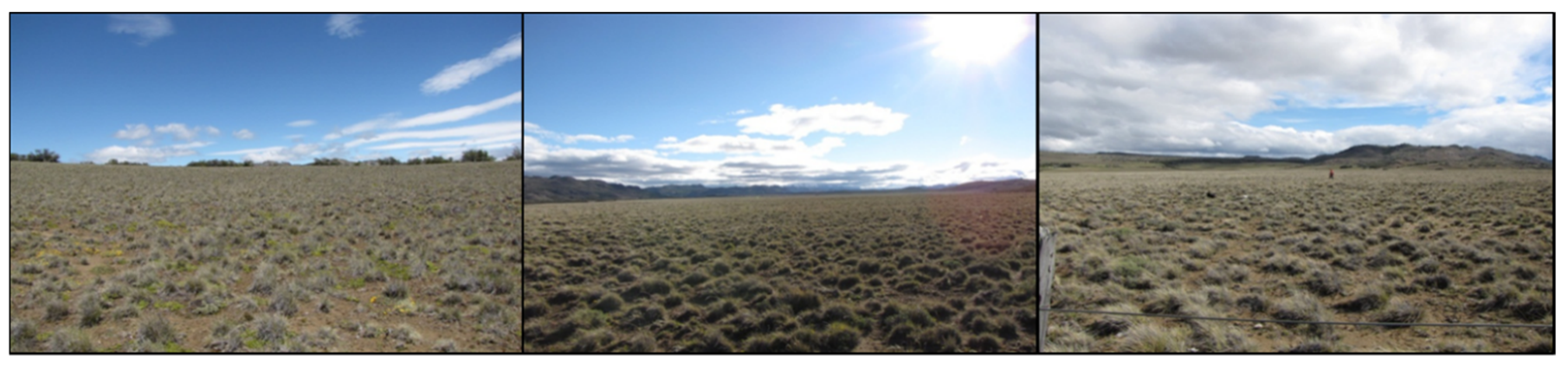 Forests 10 00654 g004