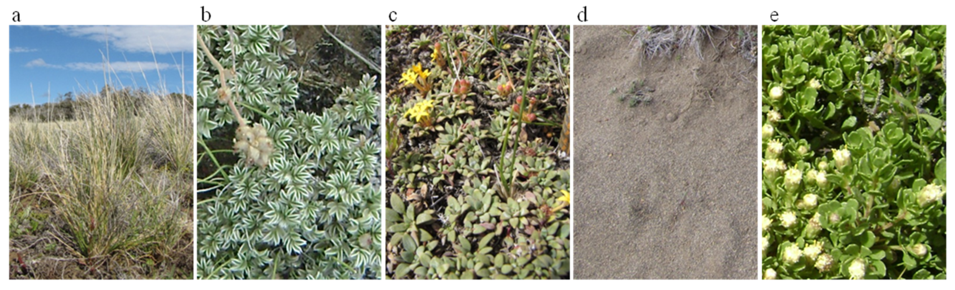 Forests 10 00654 g005