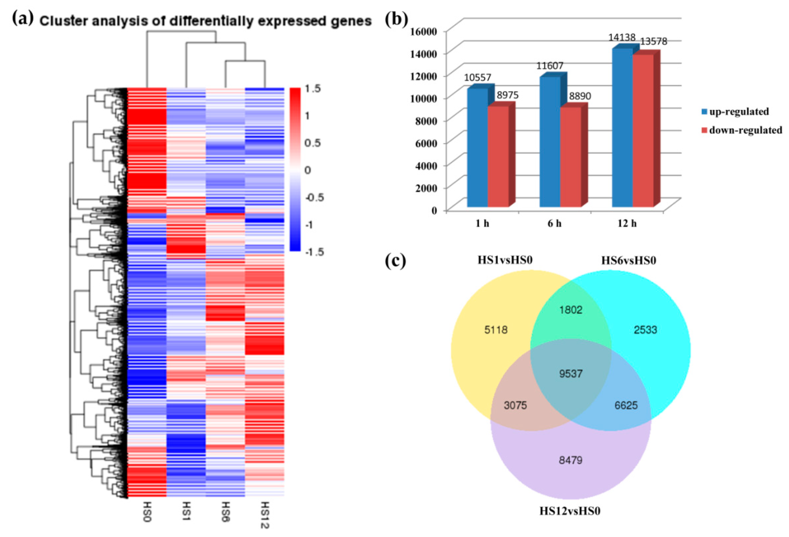 Forests | Free Full-Text | Transcriptomic Responses of Dove Tree 